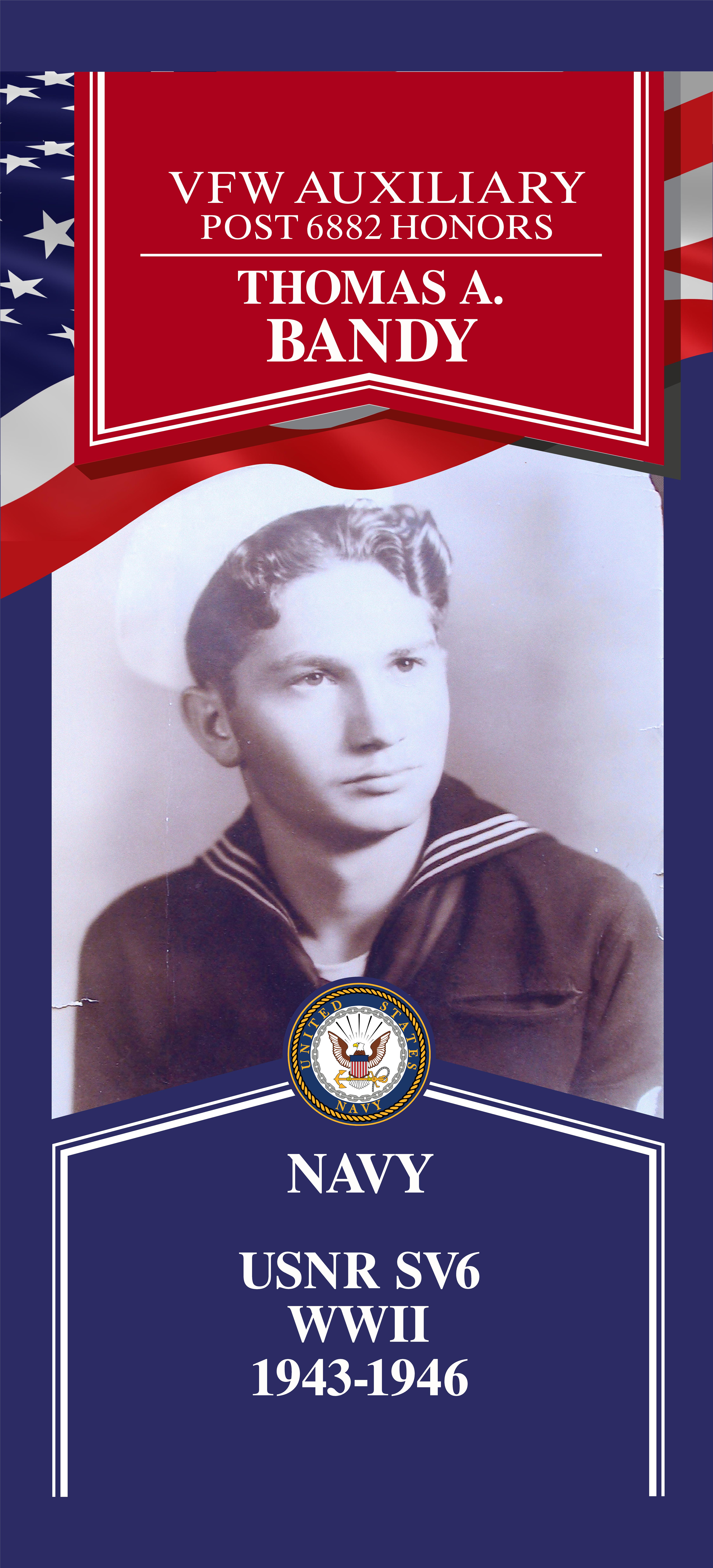 Local Heroes veteran tribute portrait