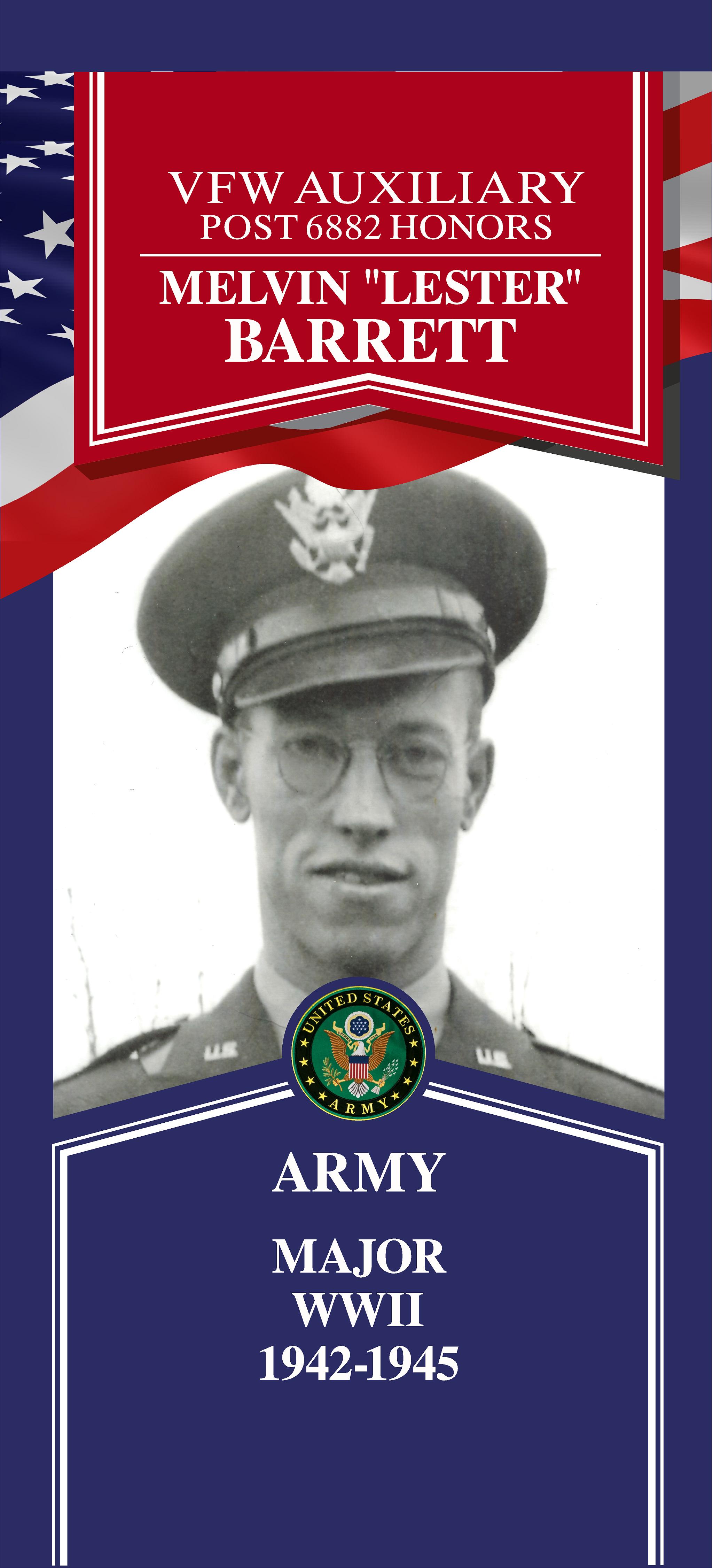 Local Heroes veteran tribute portrait