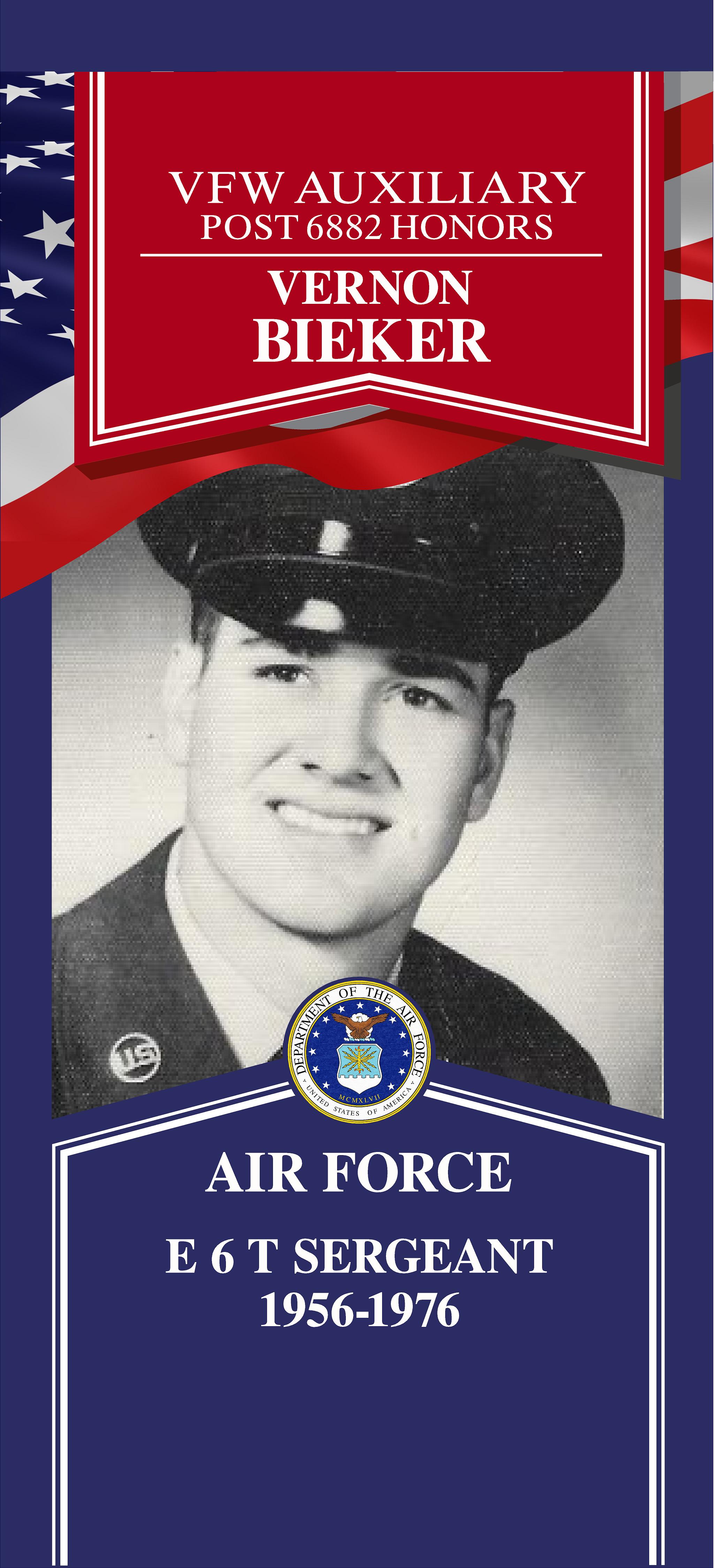 Local Heroes veteran tribute portrait