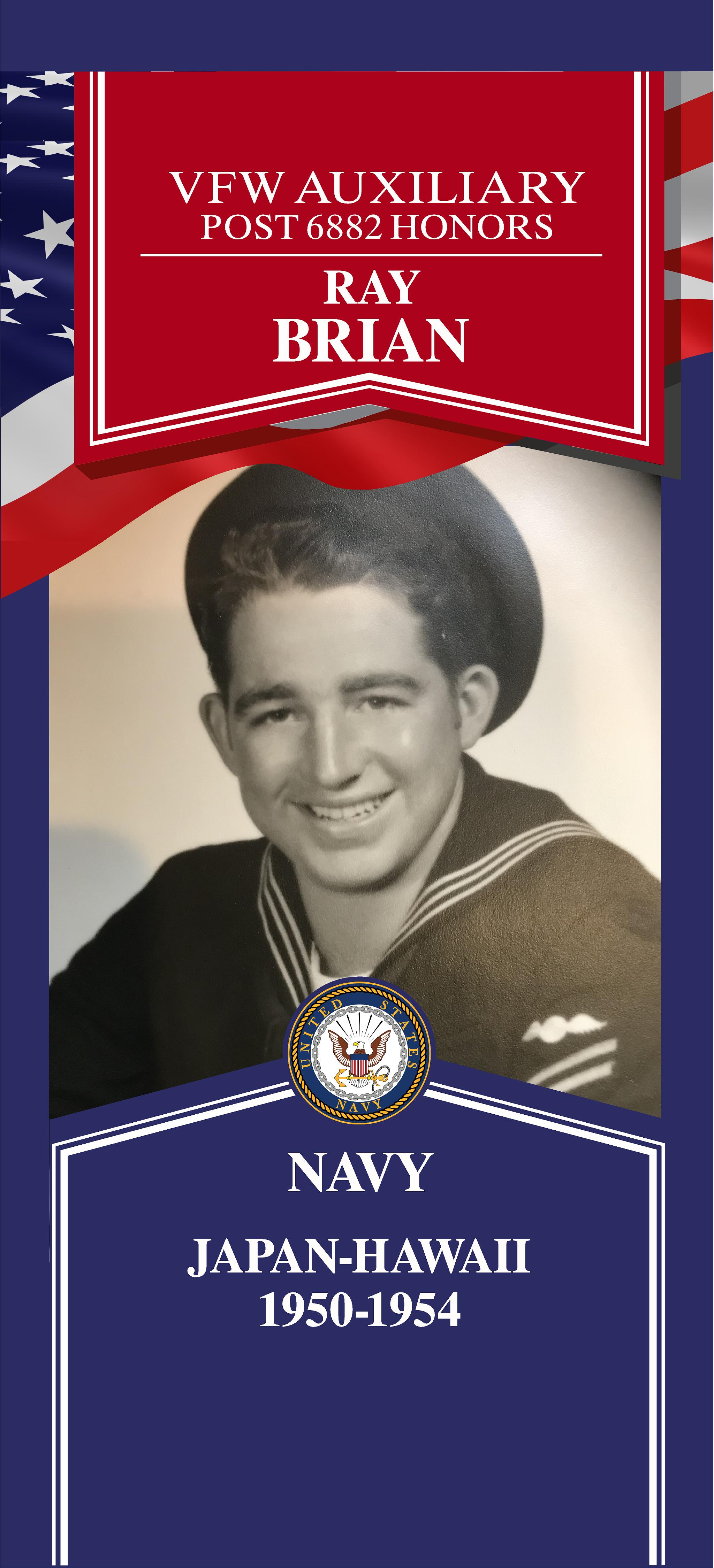 Local Heroes veteran tribute portrait