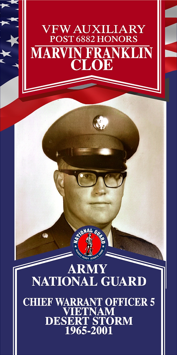 Local Heroes veteran tribute portrait