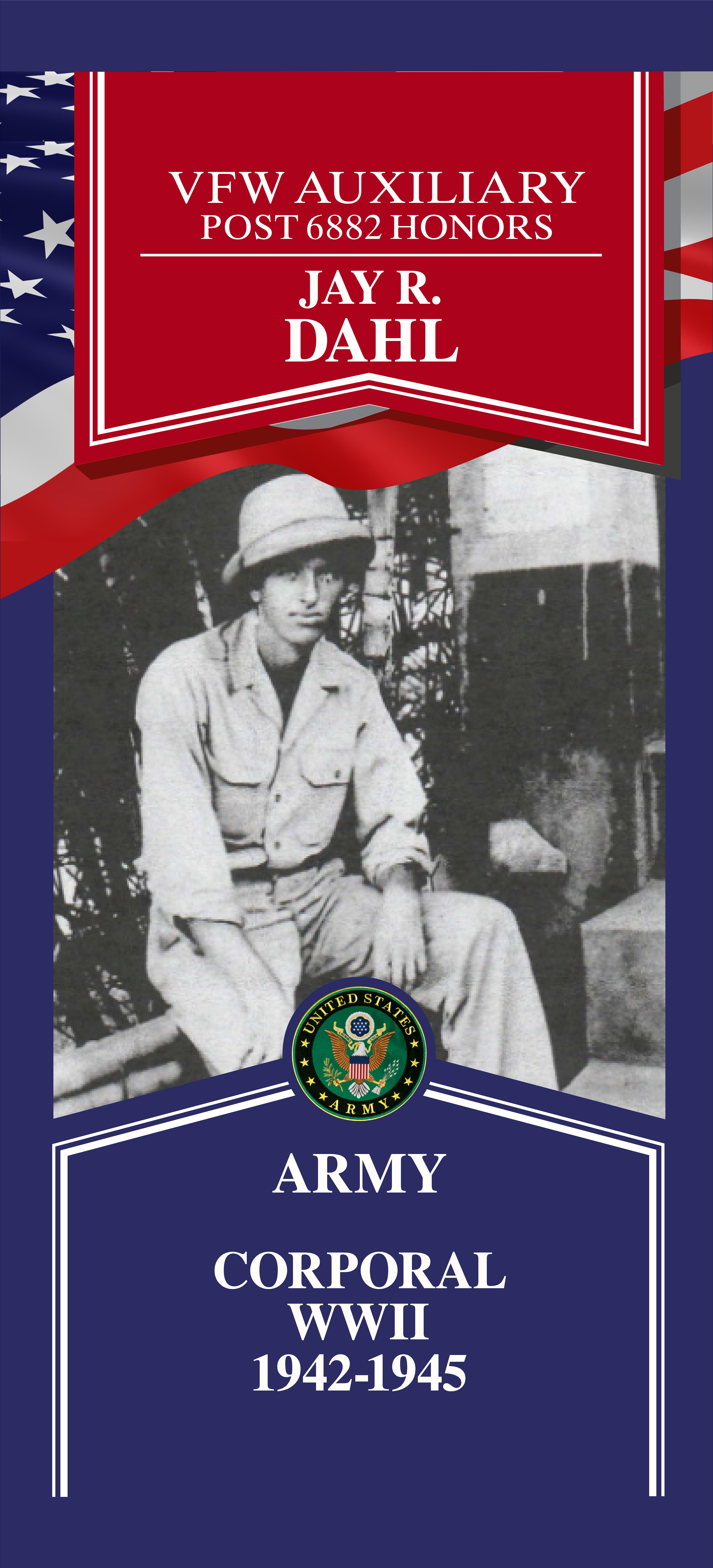Local Heroes veteran tribute portrait