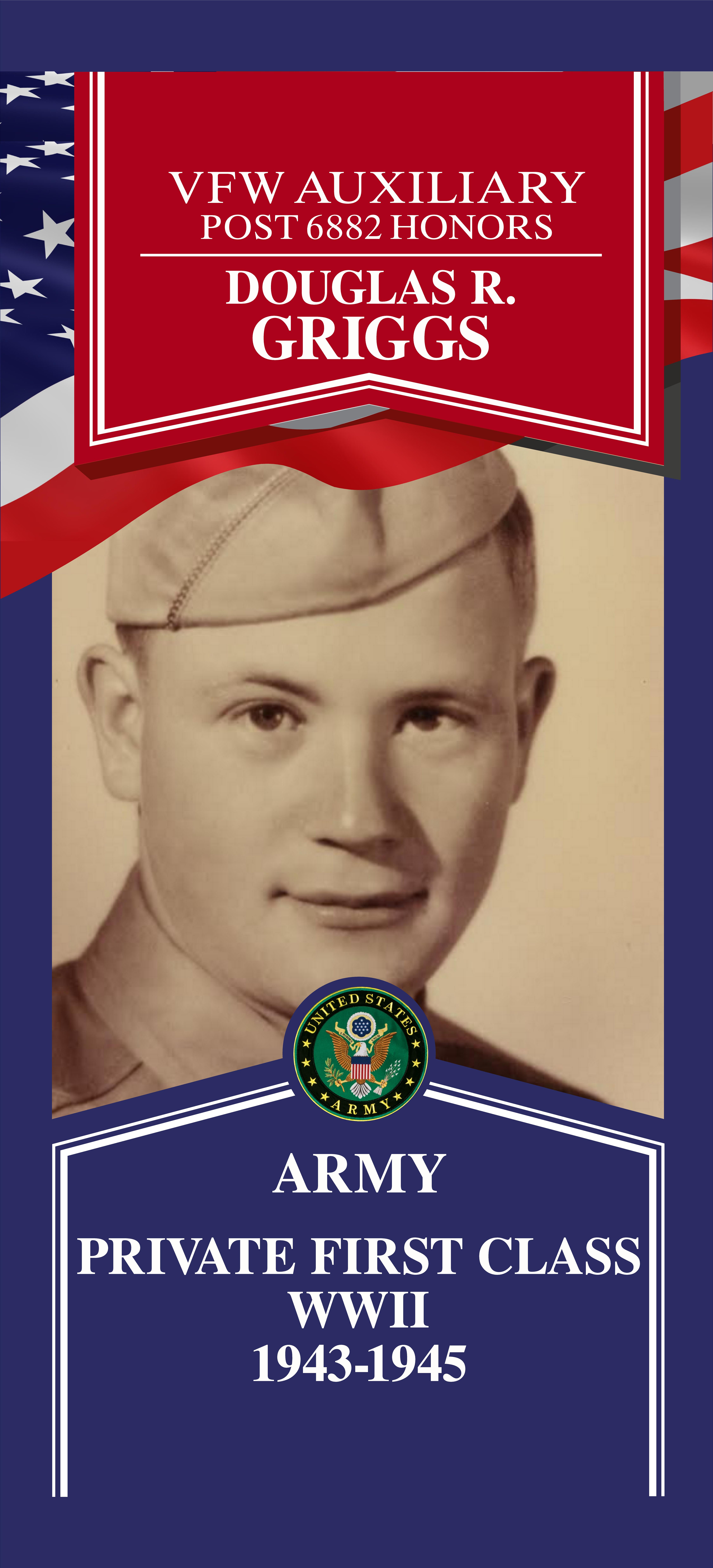 Local Heroes veteran tribute portrait