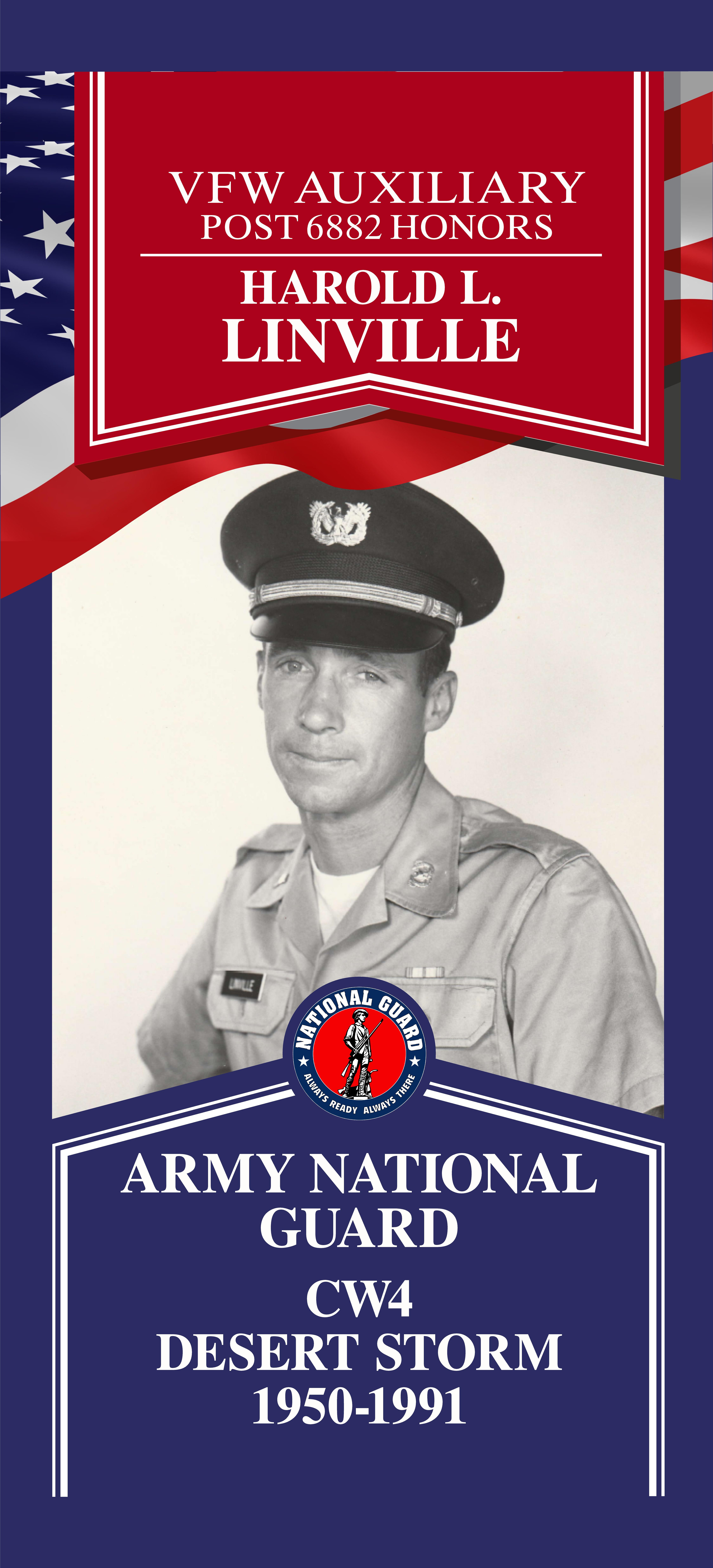 Local Heroes veteran tribute portrait