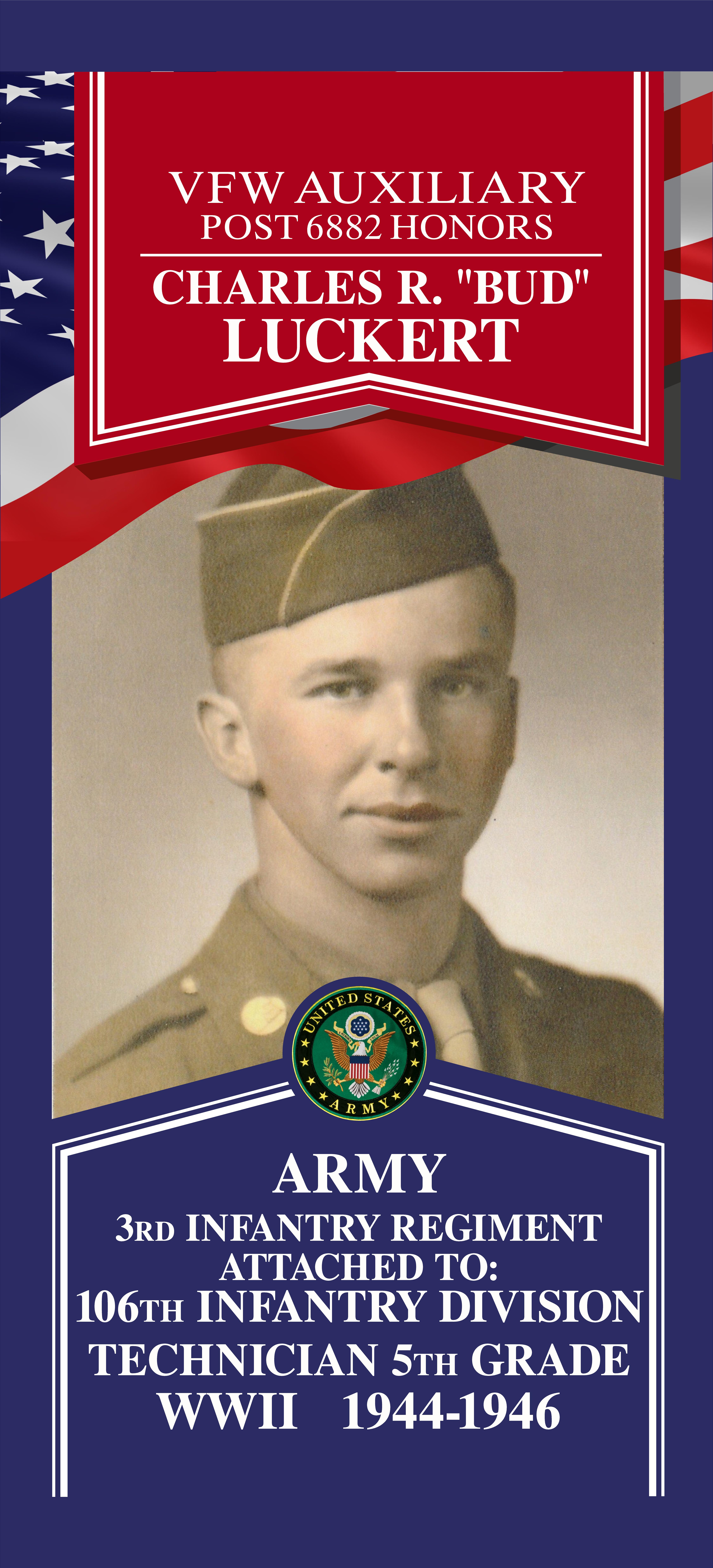 Local Heroes veteran tribute portrait