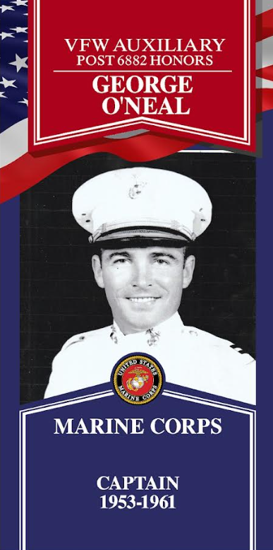 Local Heroes veteran tribute portrait