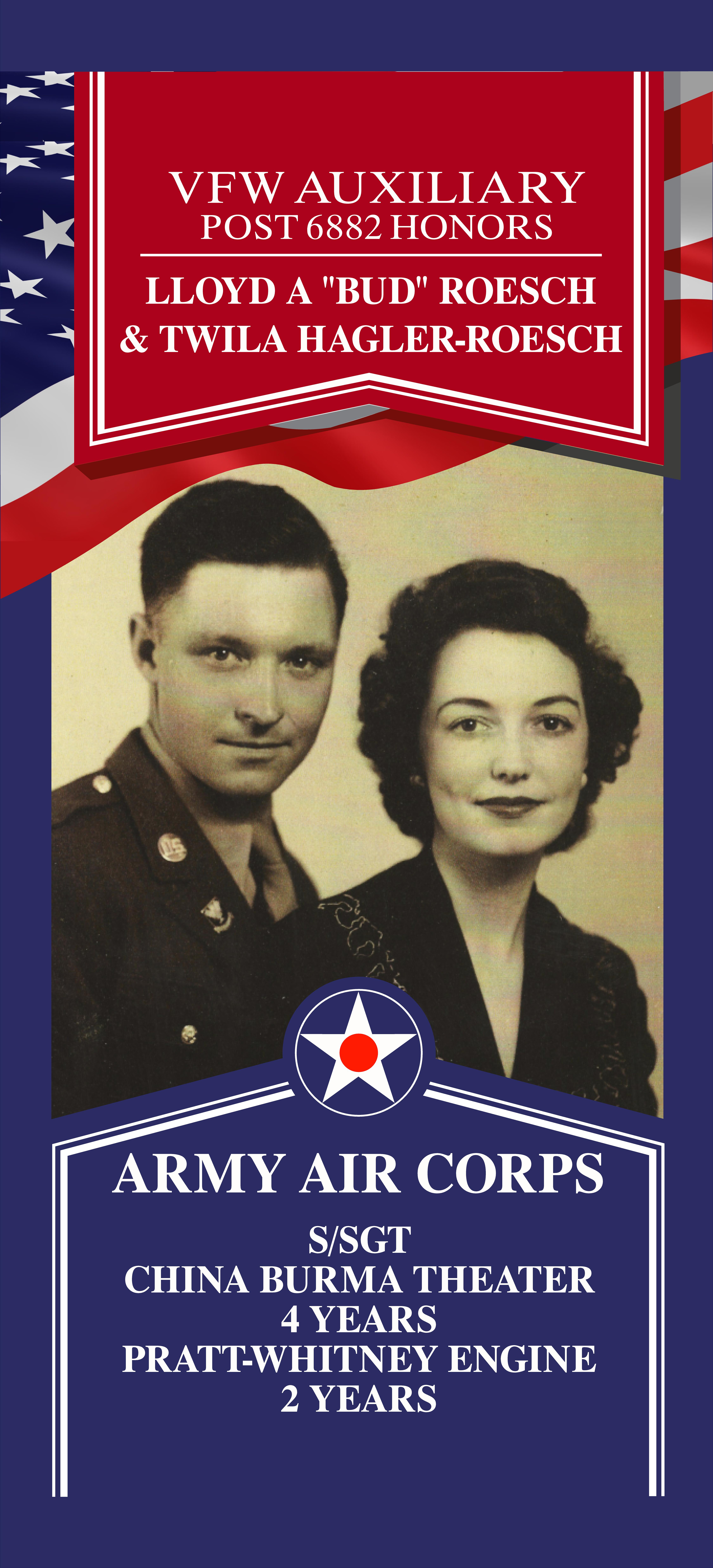 Local Heroes veteran tribute portrait