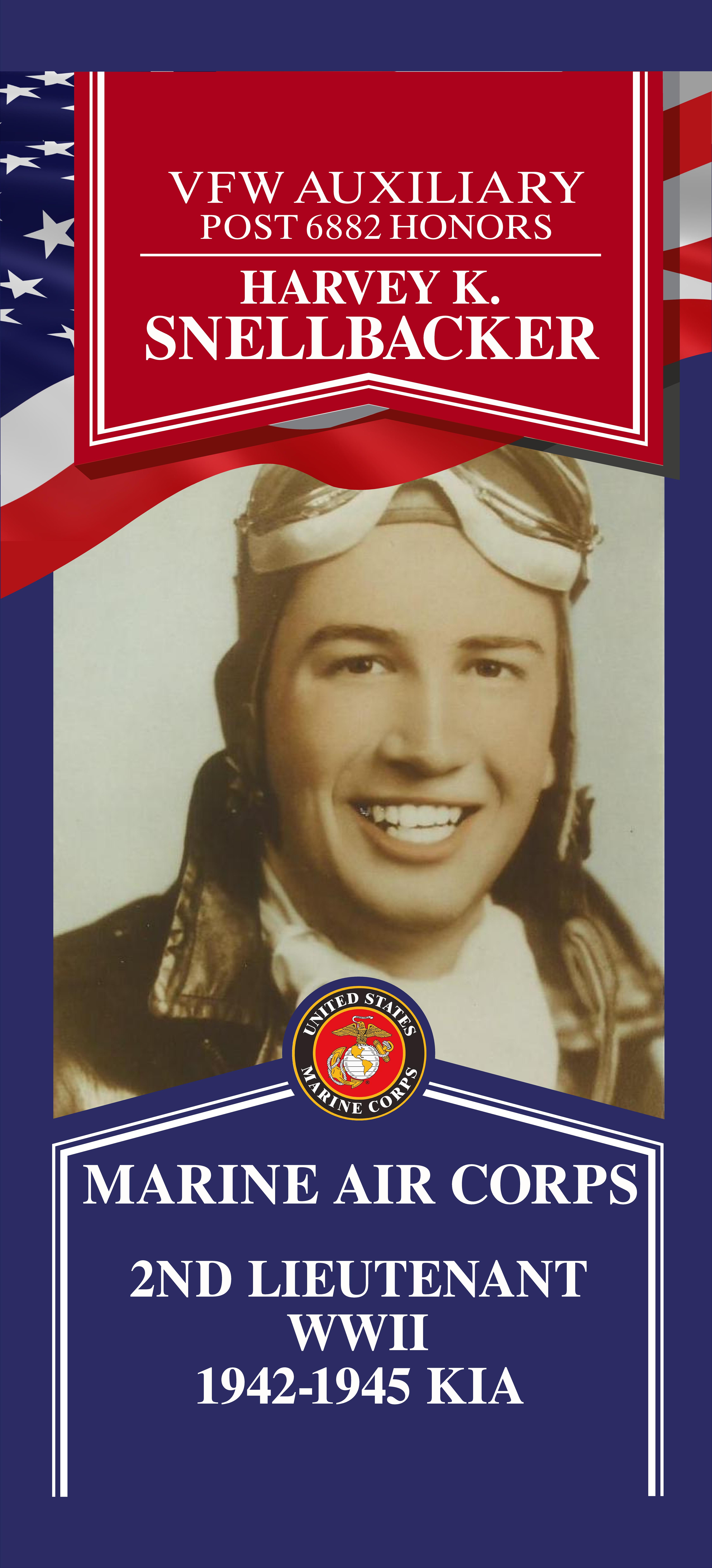 Local Heroes veteran tribute portrait