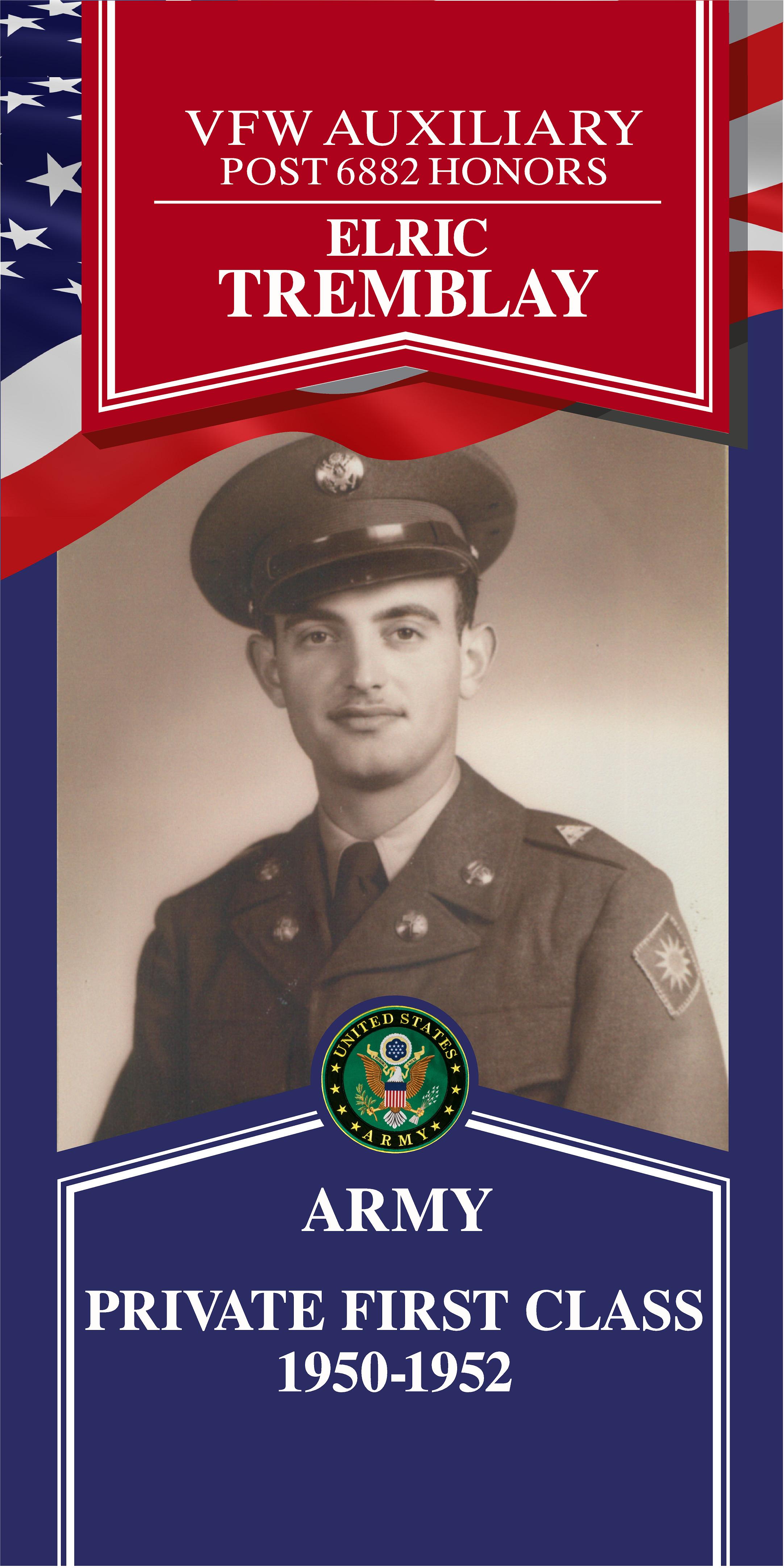 Local Heroes veteran tribute portrait