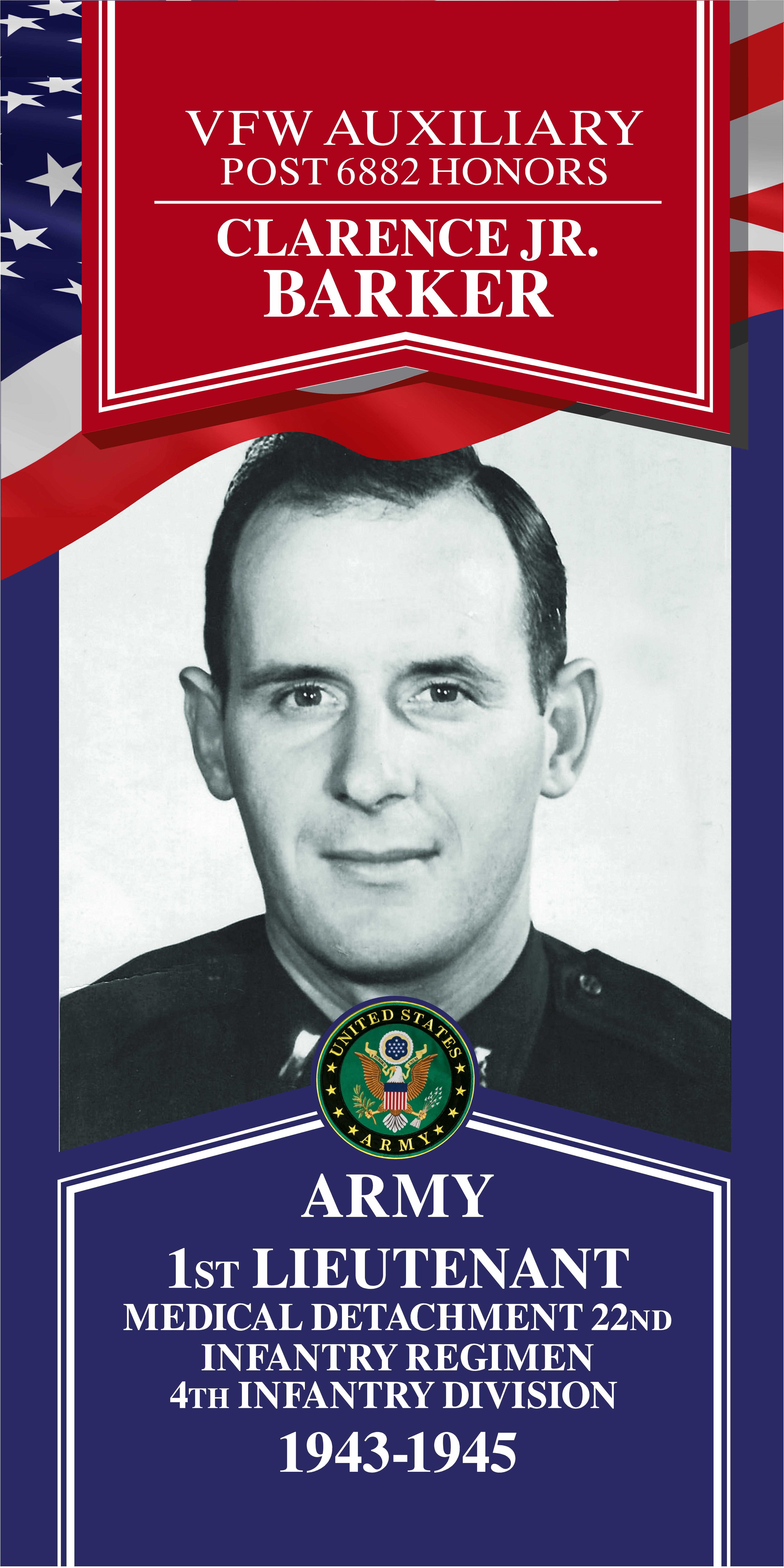 Local Heroes veteran tribute portrait