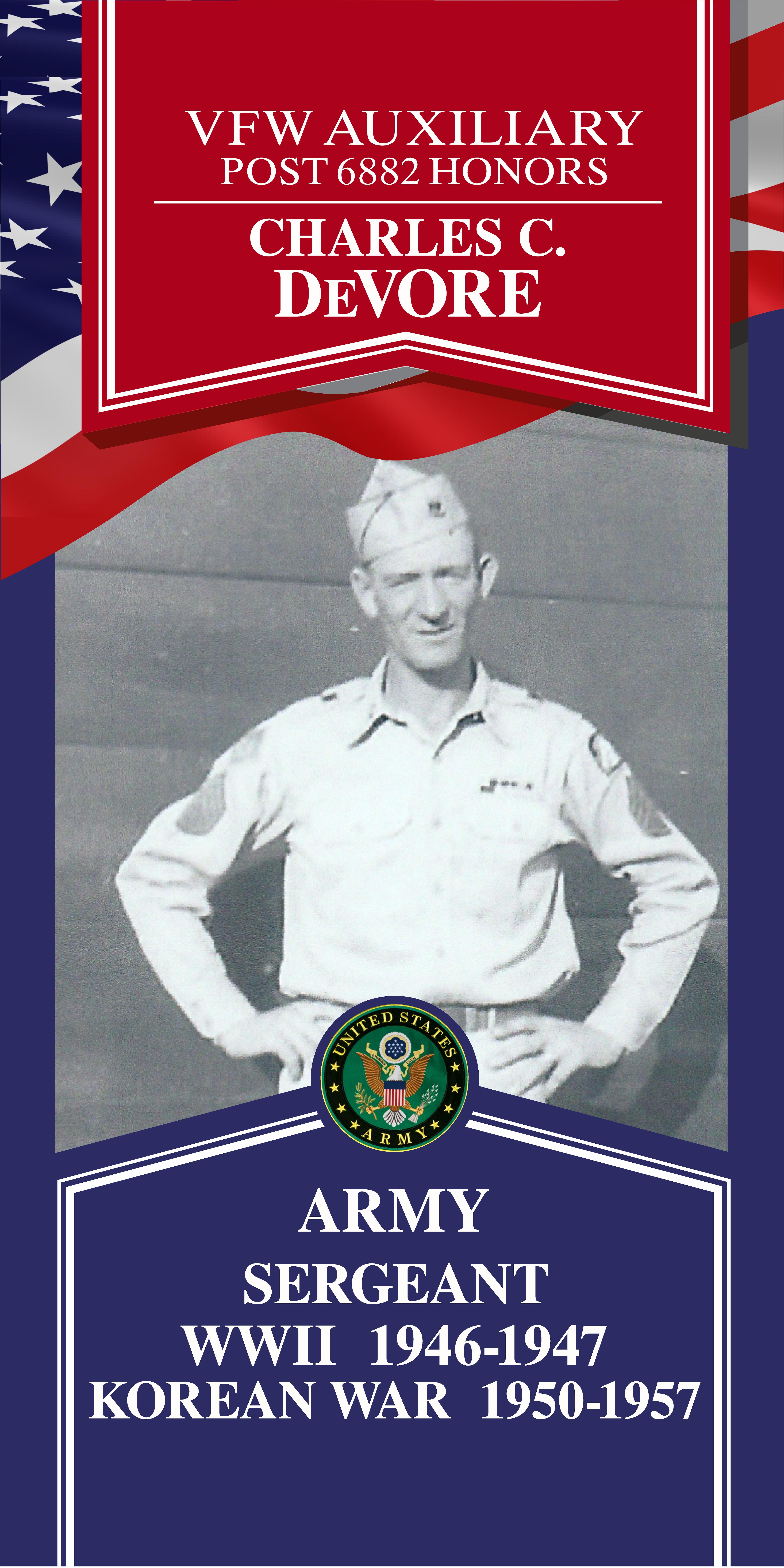 Local Heroes veteran tribute portrait