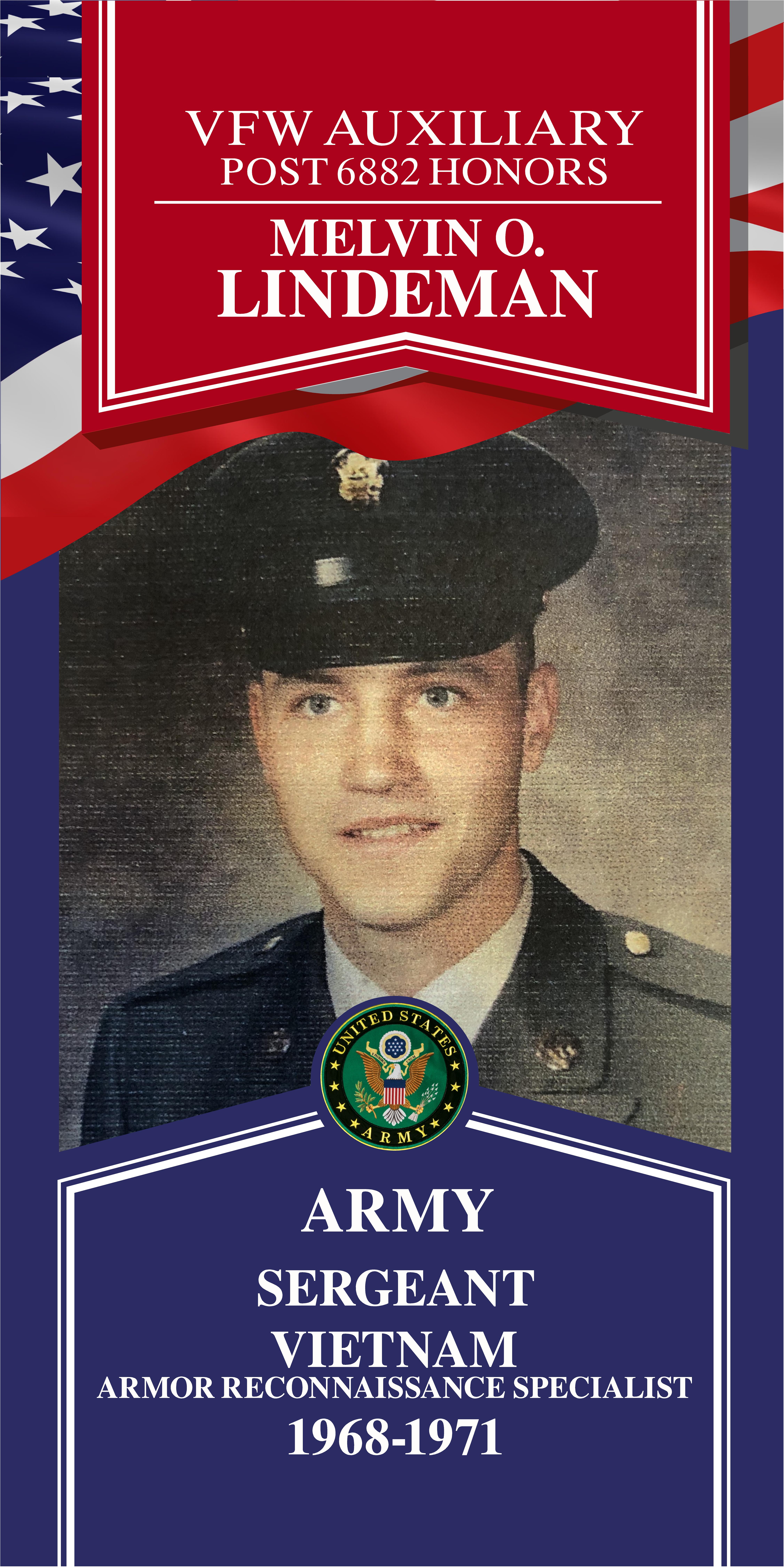 Local Heroes veteran tribute portrait