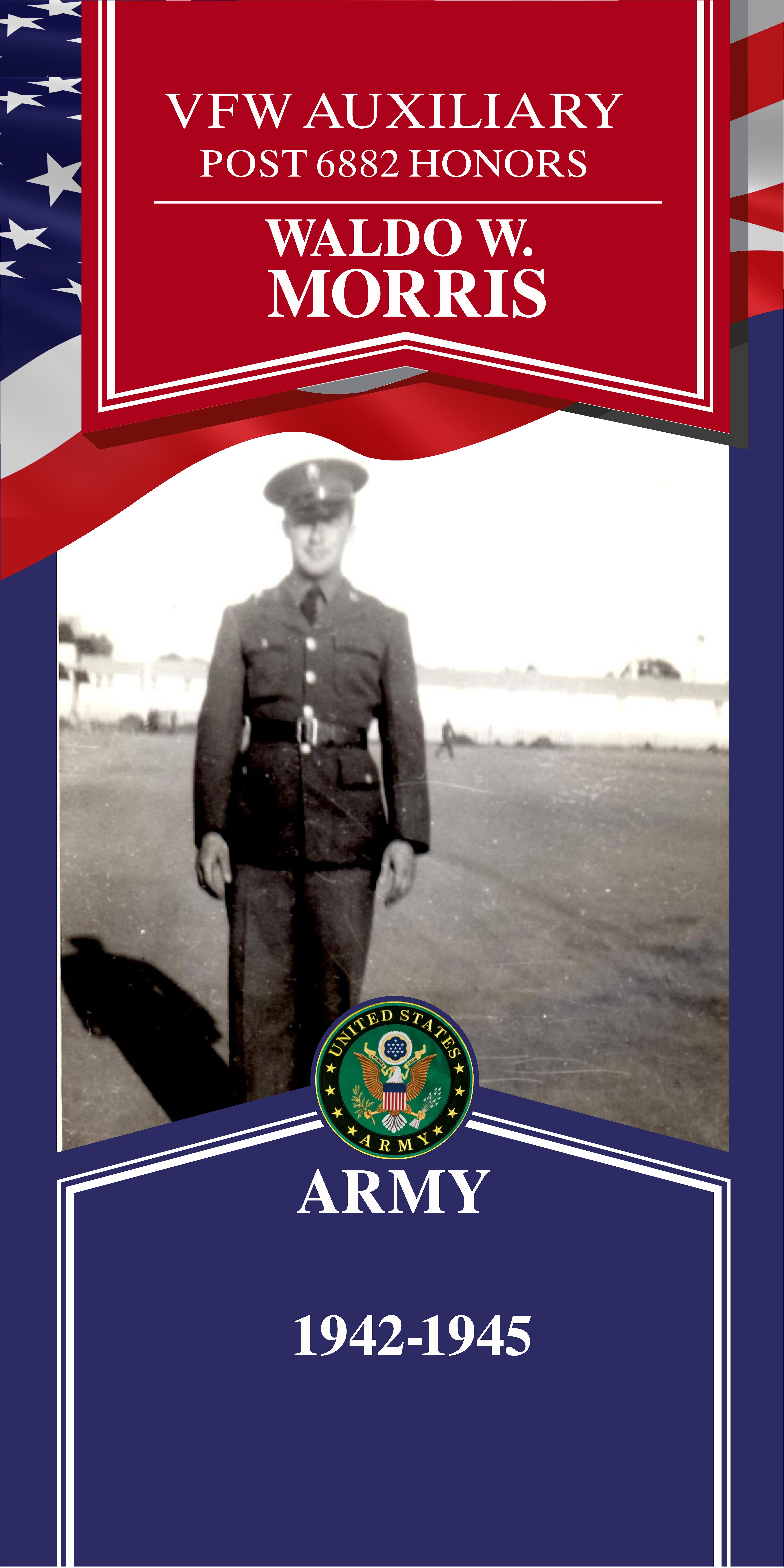 Local Heroes veteran tribute portrait