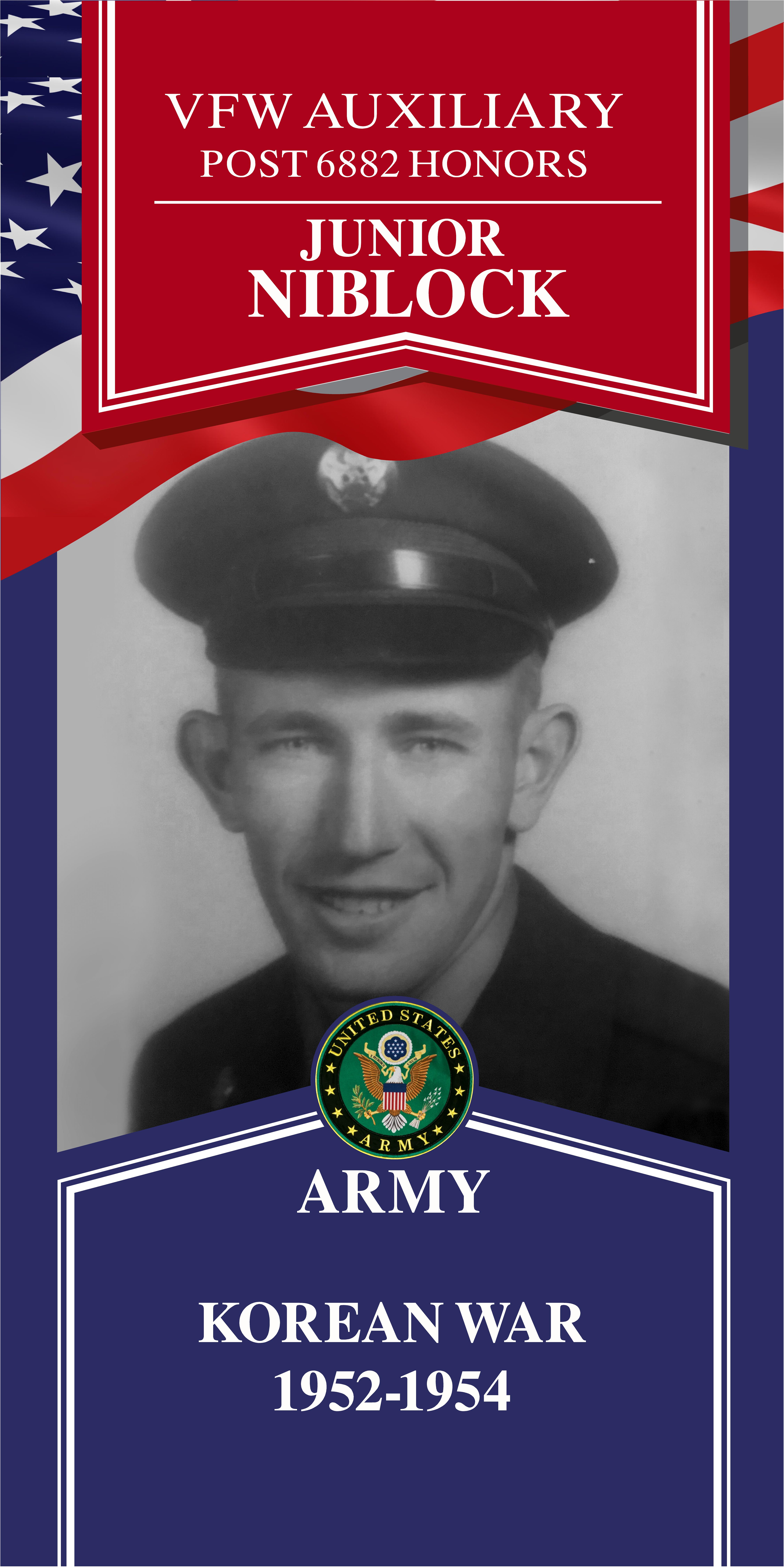 Local Heroes veteran tribute portrait