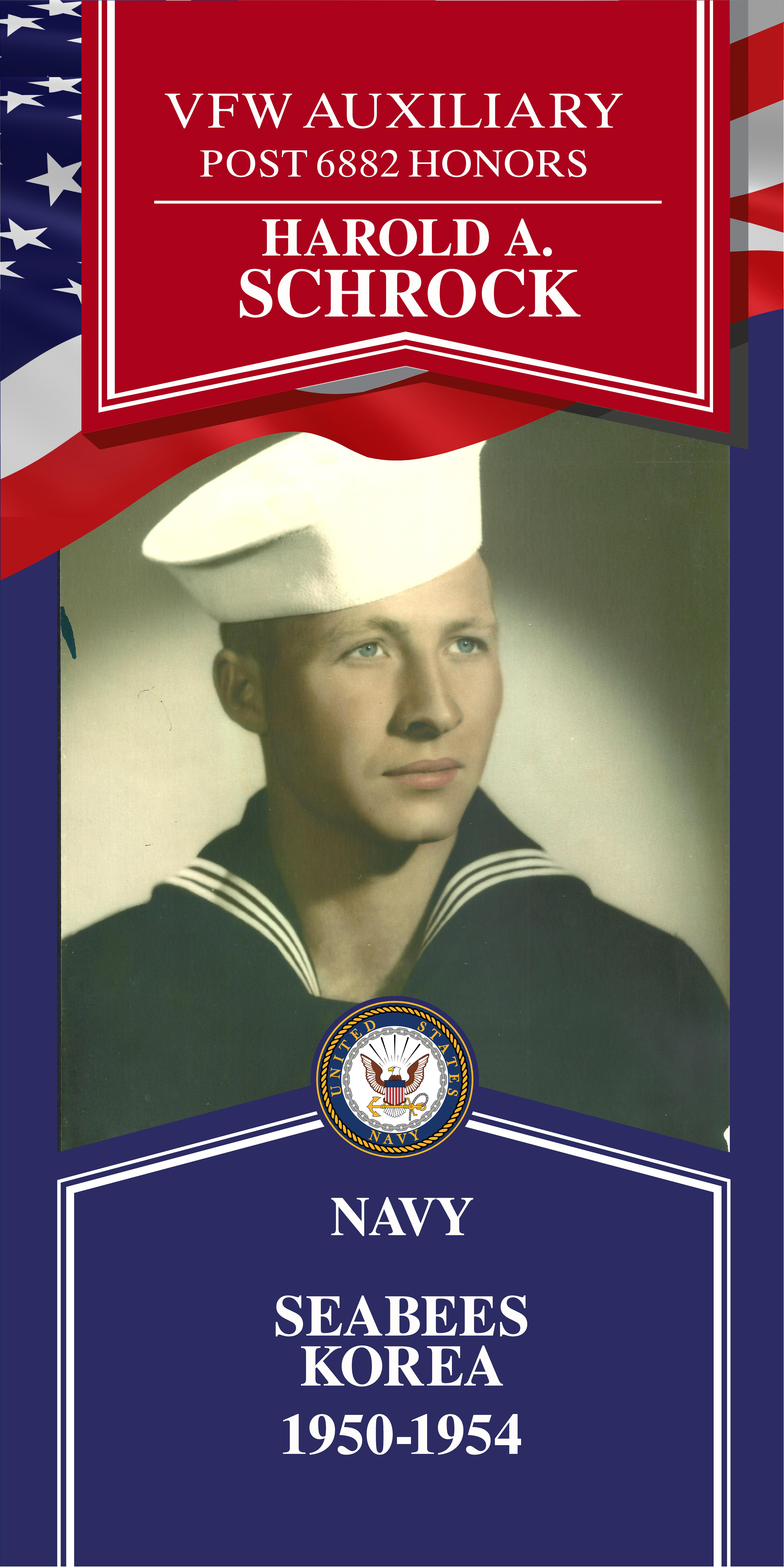 Local Heroes veteran tribute portrait