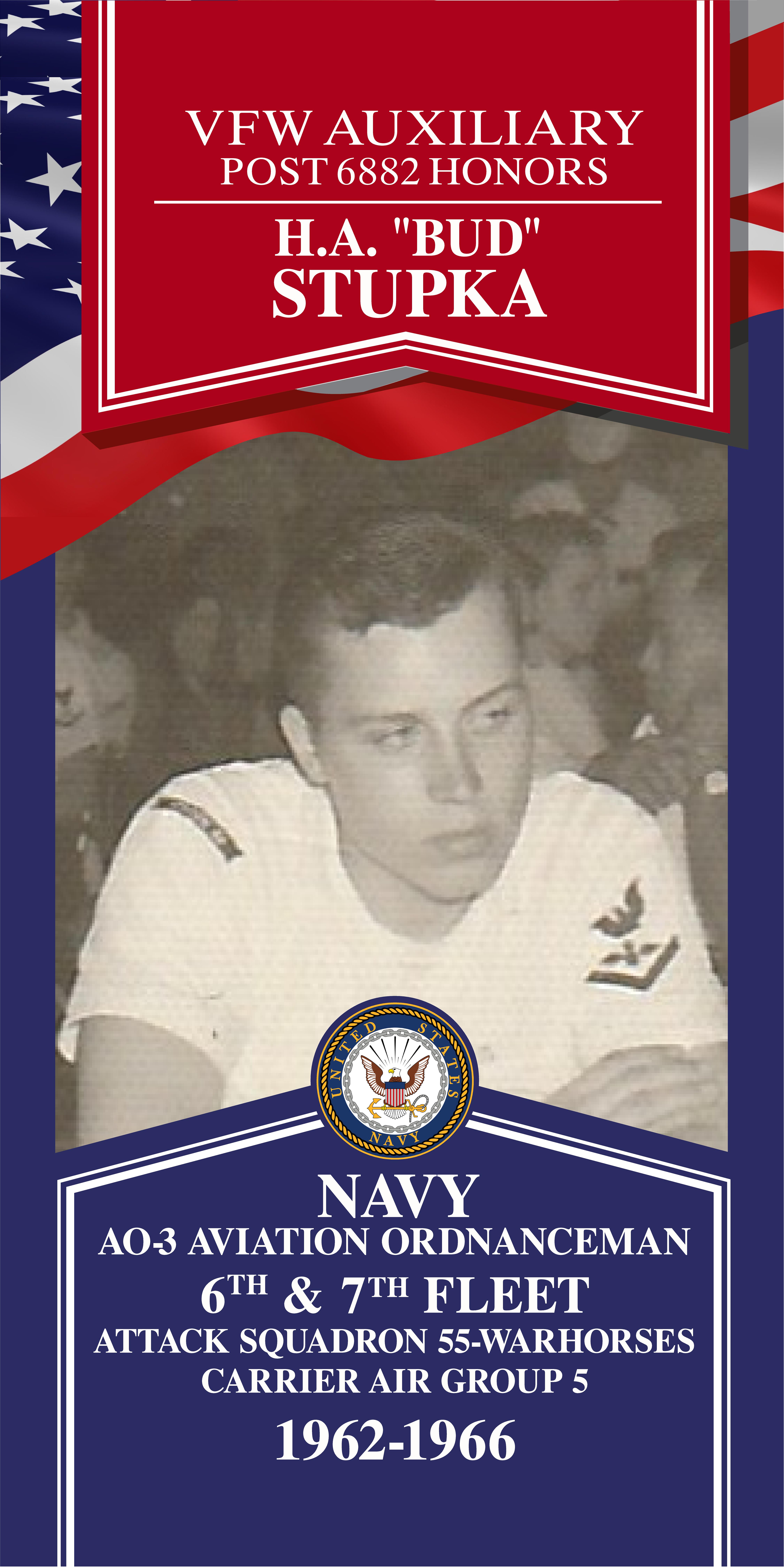 Local Heroes veteran tribute portrait