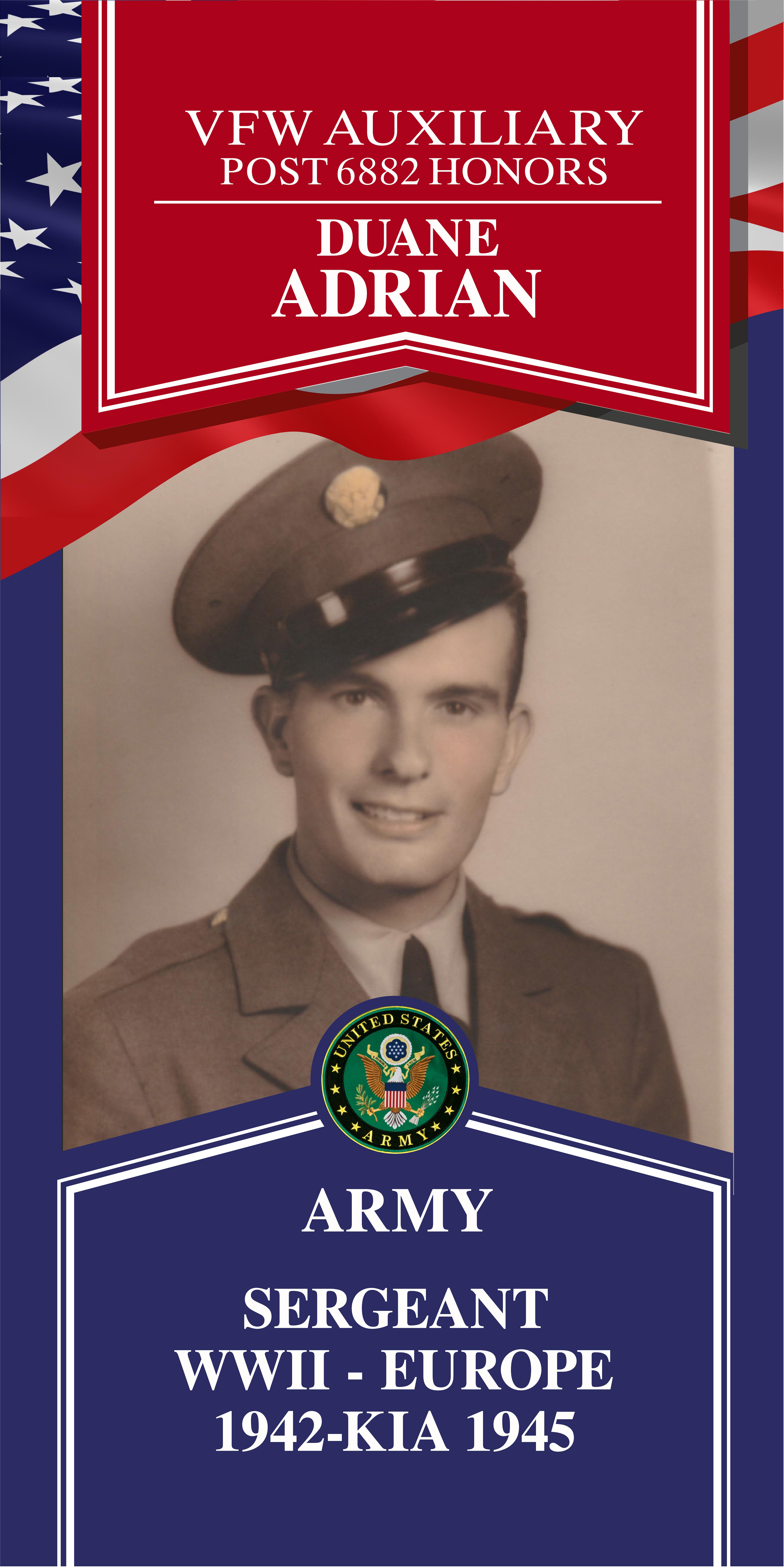 Local Heroes veteran tribute portrait