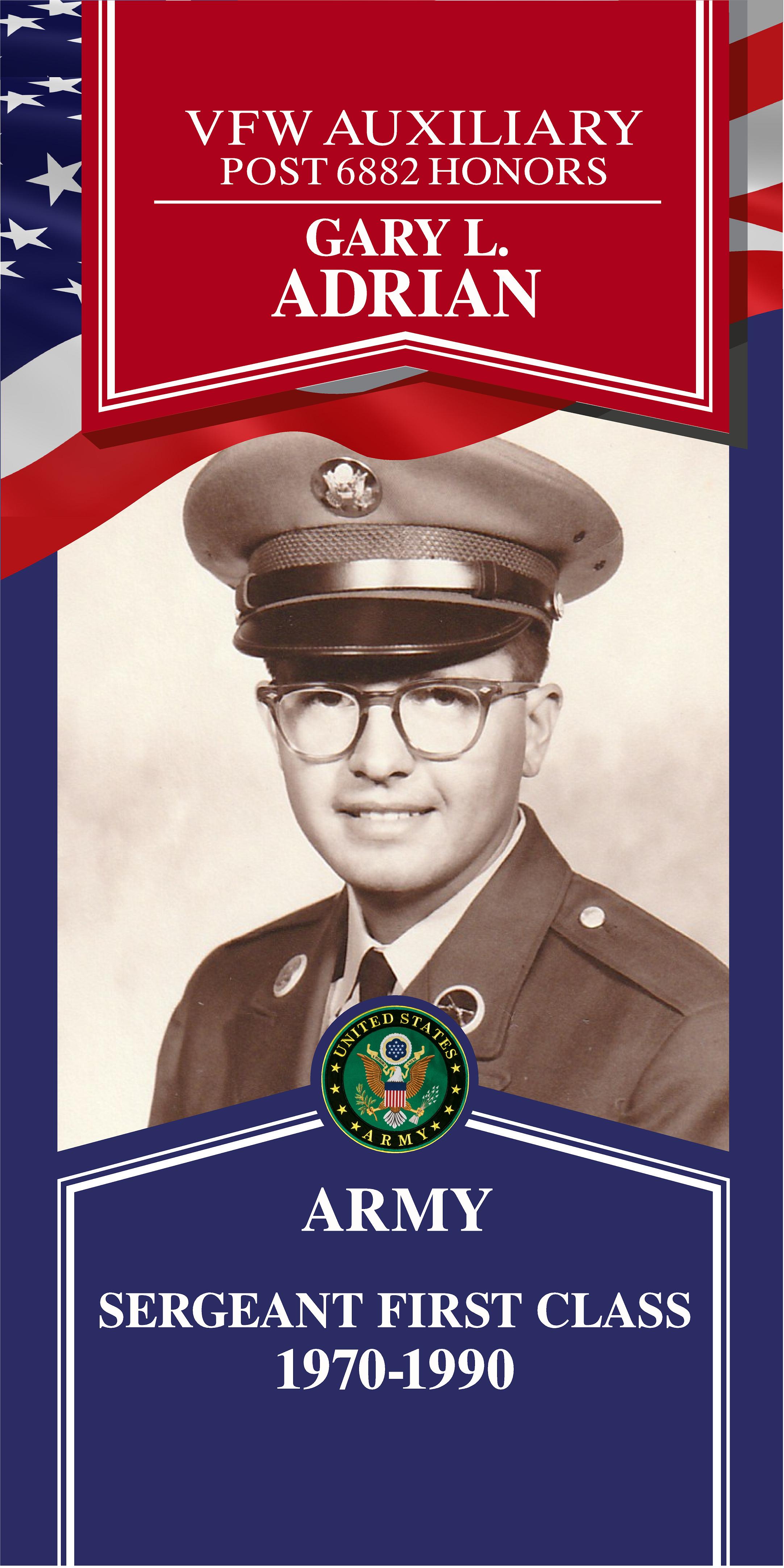 Local Heroes veteran tribute portrait