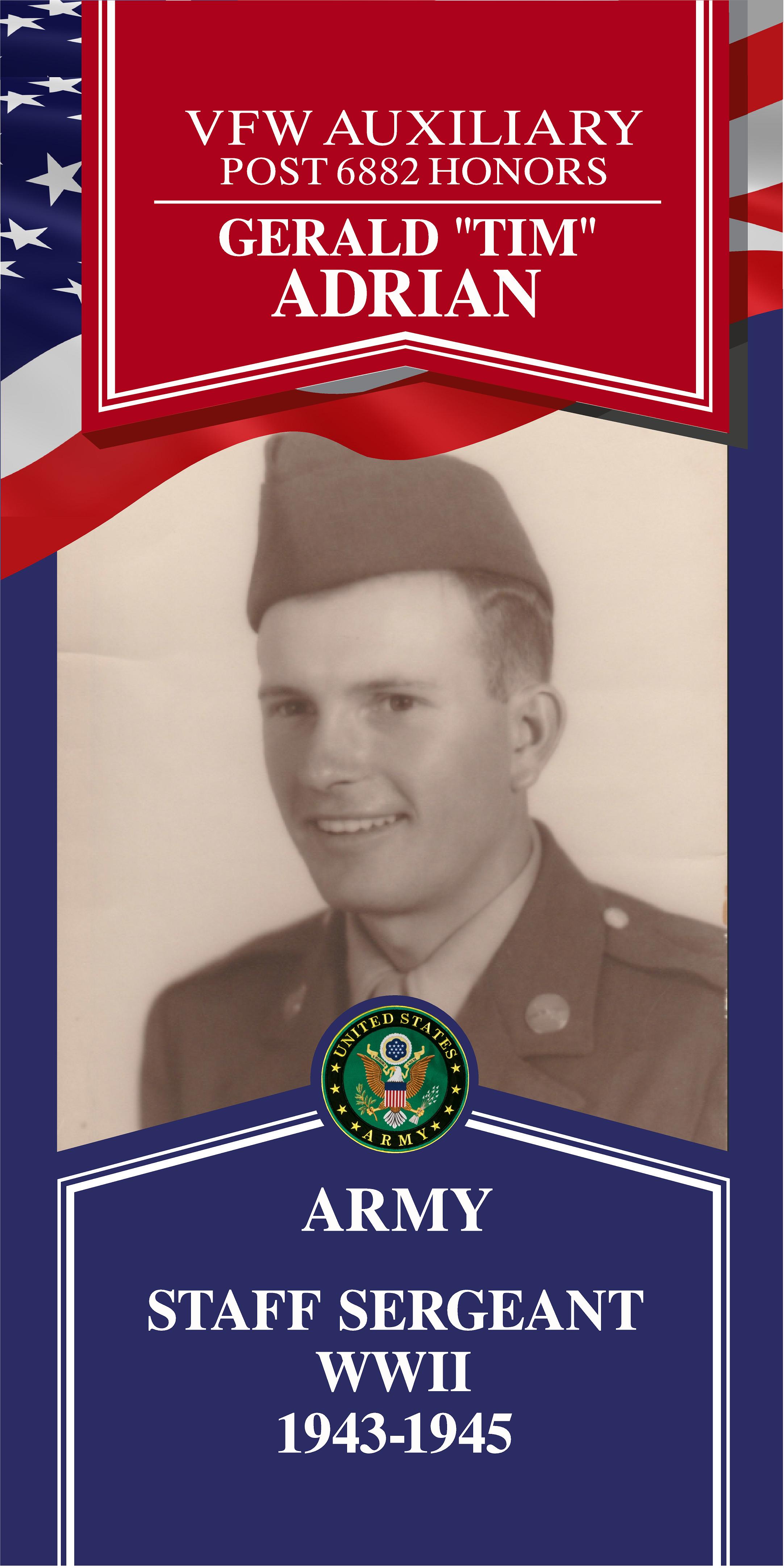 Local Heroes veteran tribute portrait