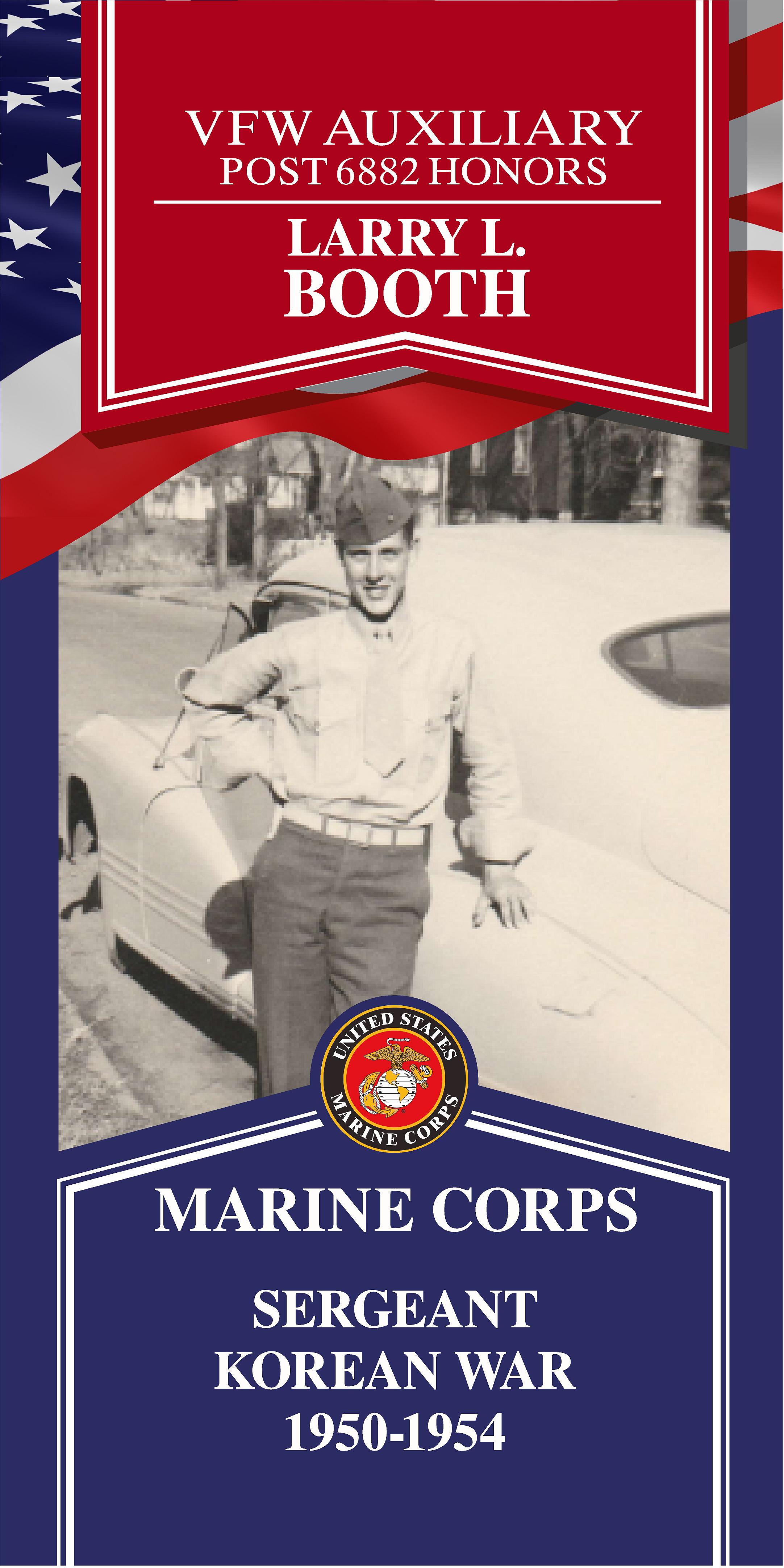 Local Heroes veteran tribute portrait