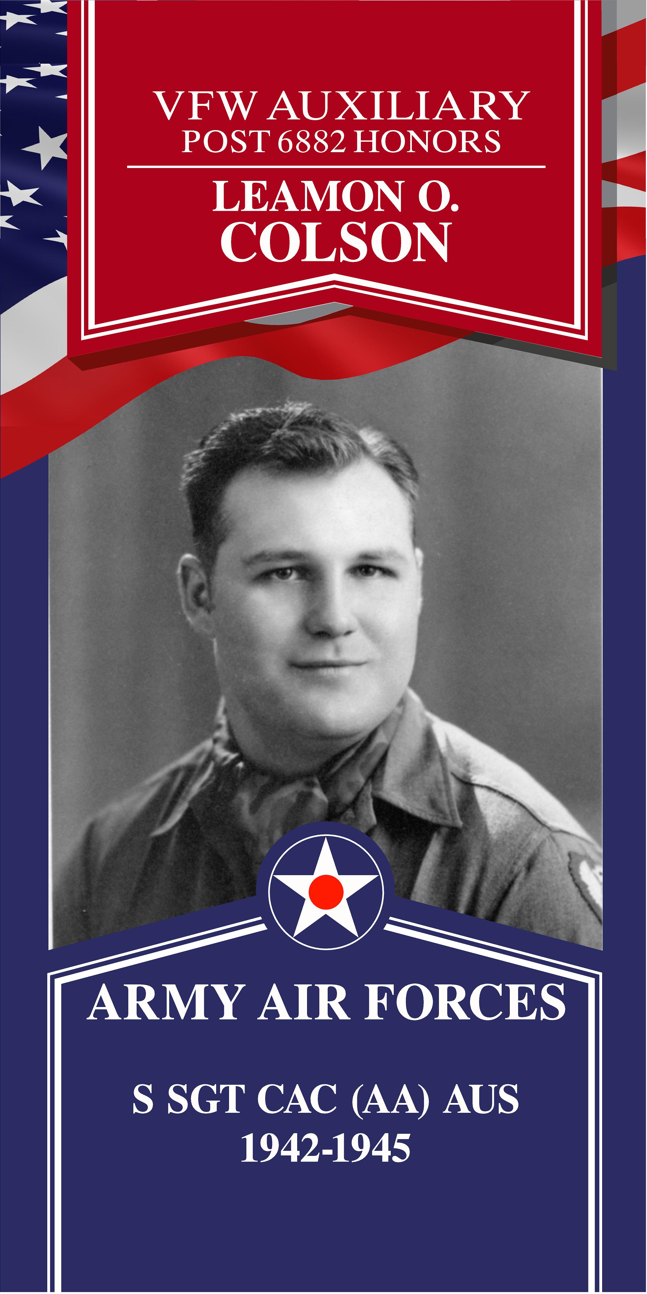 Local Heroes veteran tribute portrait