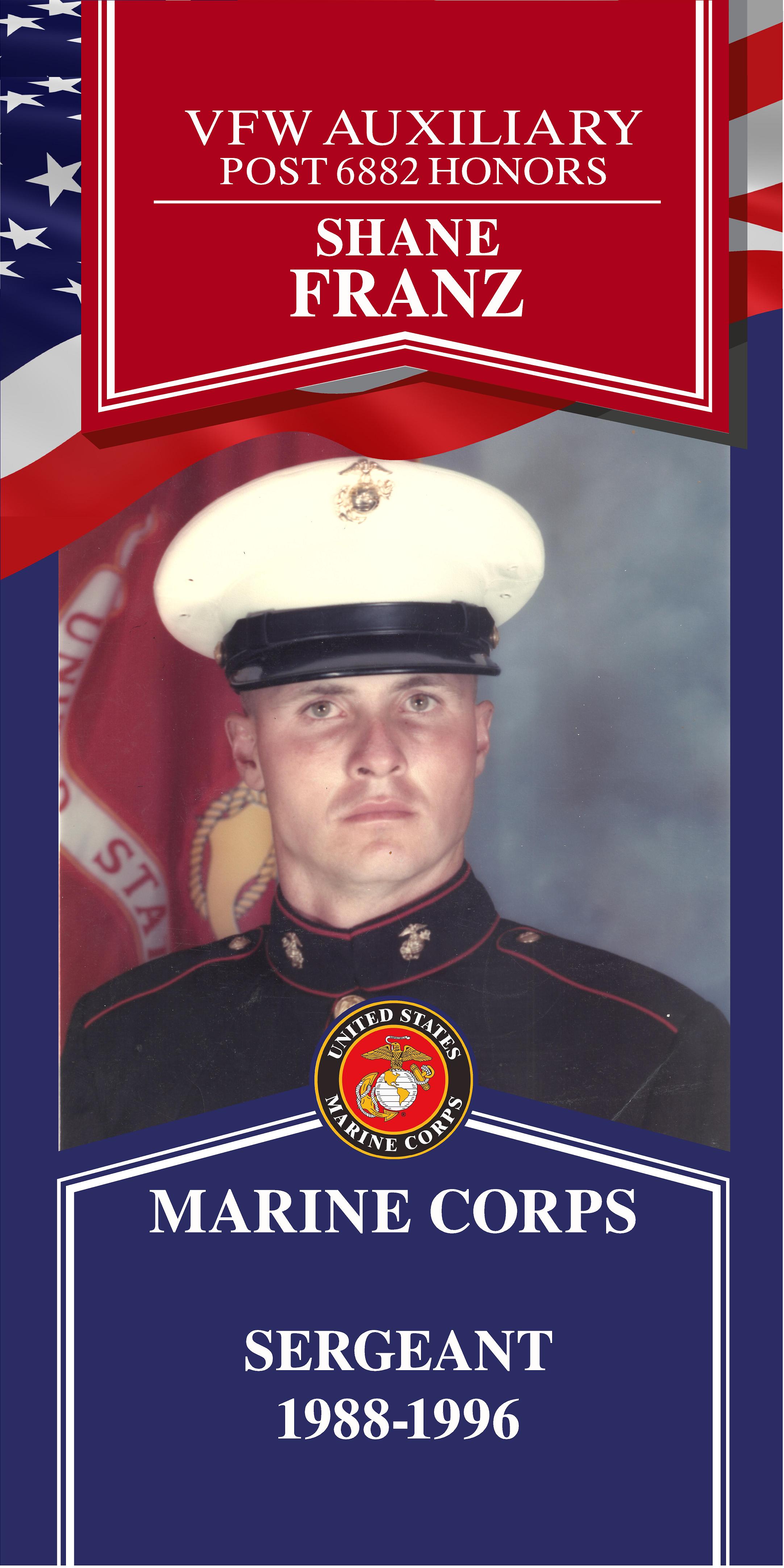 Local Heroes veteran tribute portrait