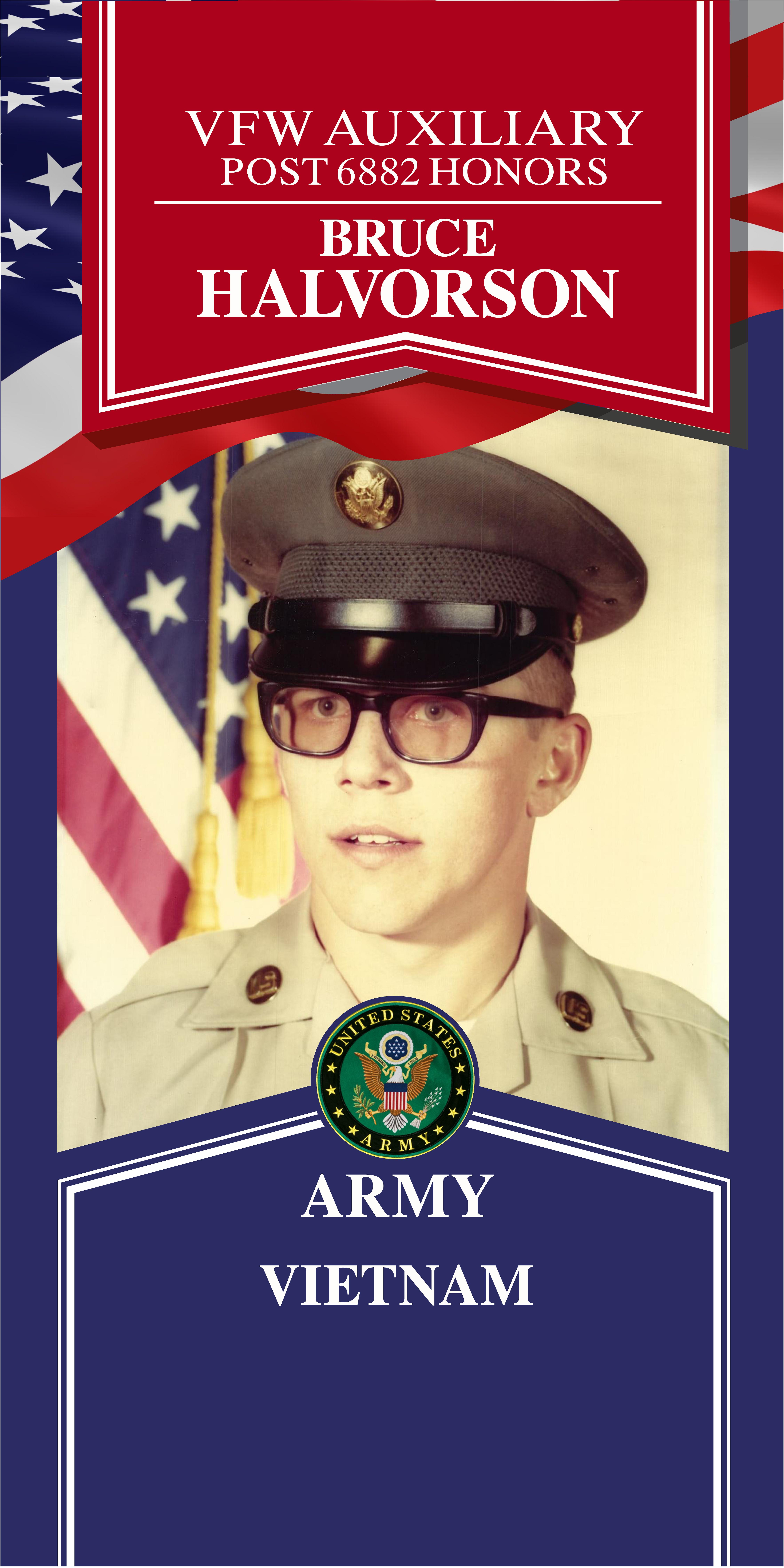 Local Heroes veteran tribute portrait