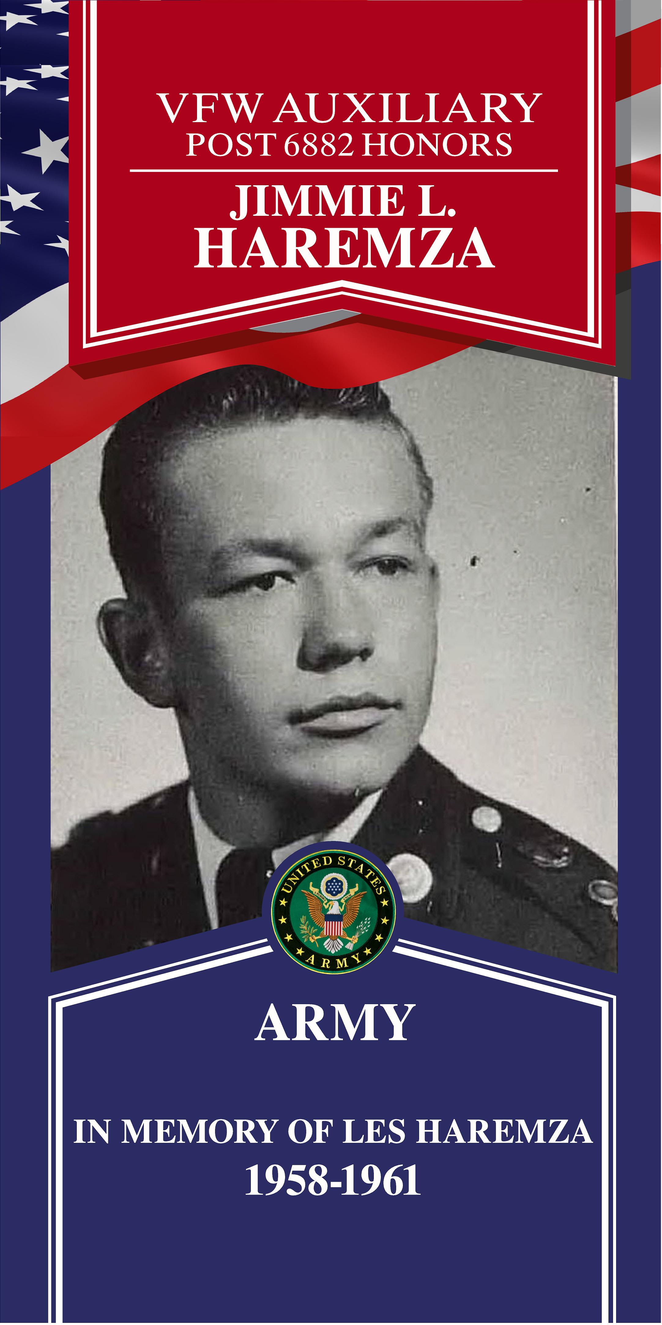 Local Heroes veteran tribute portrait