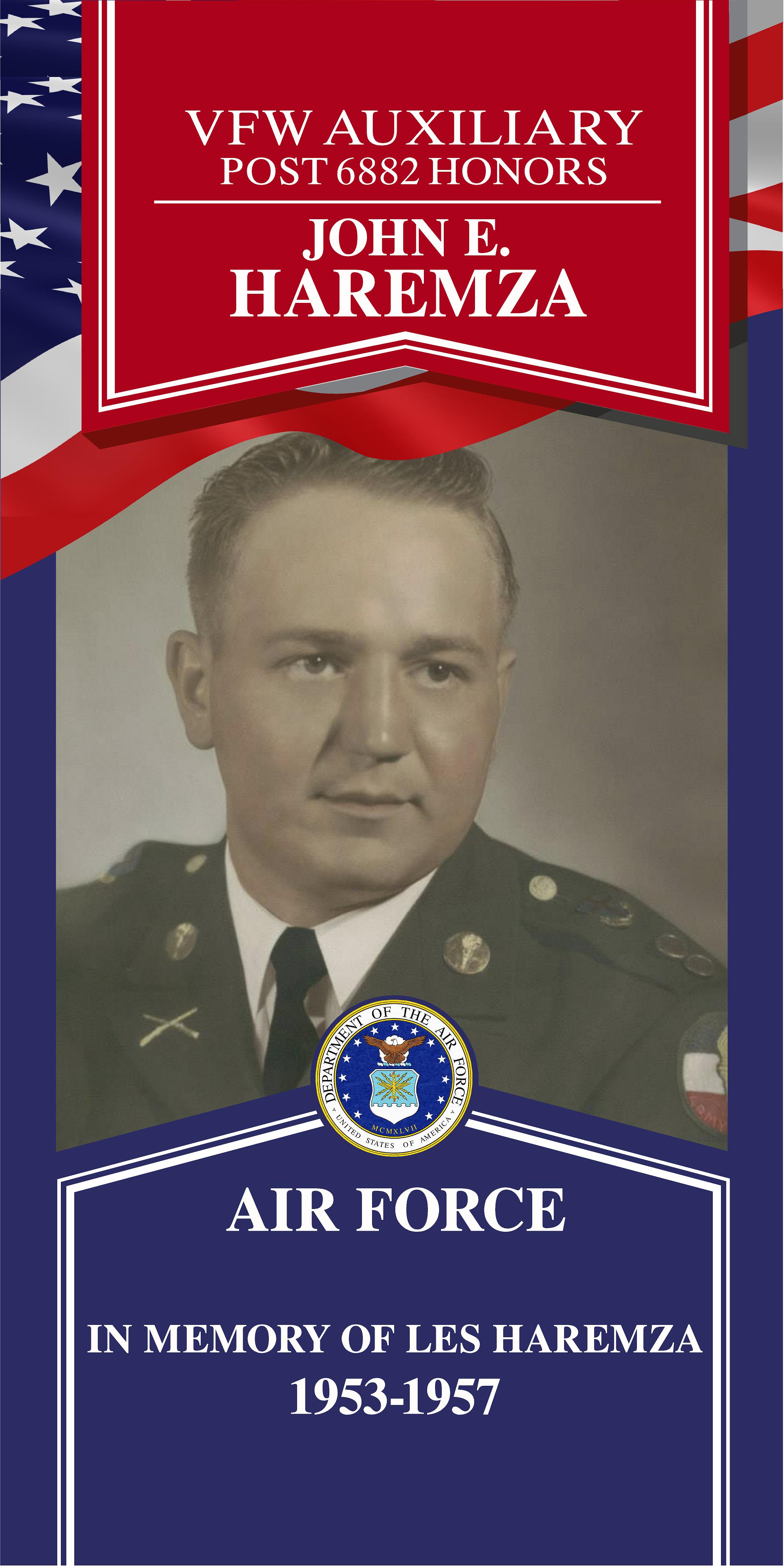 Local Heroes veteran tribute portrait
