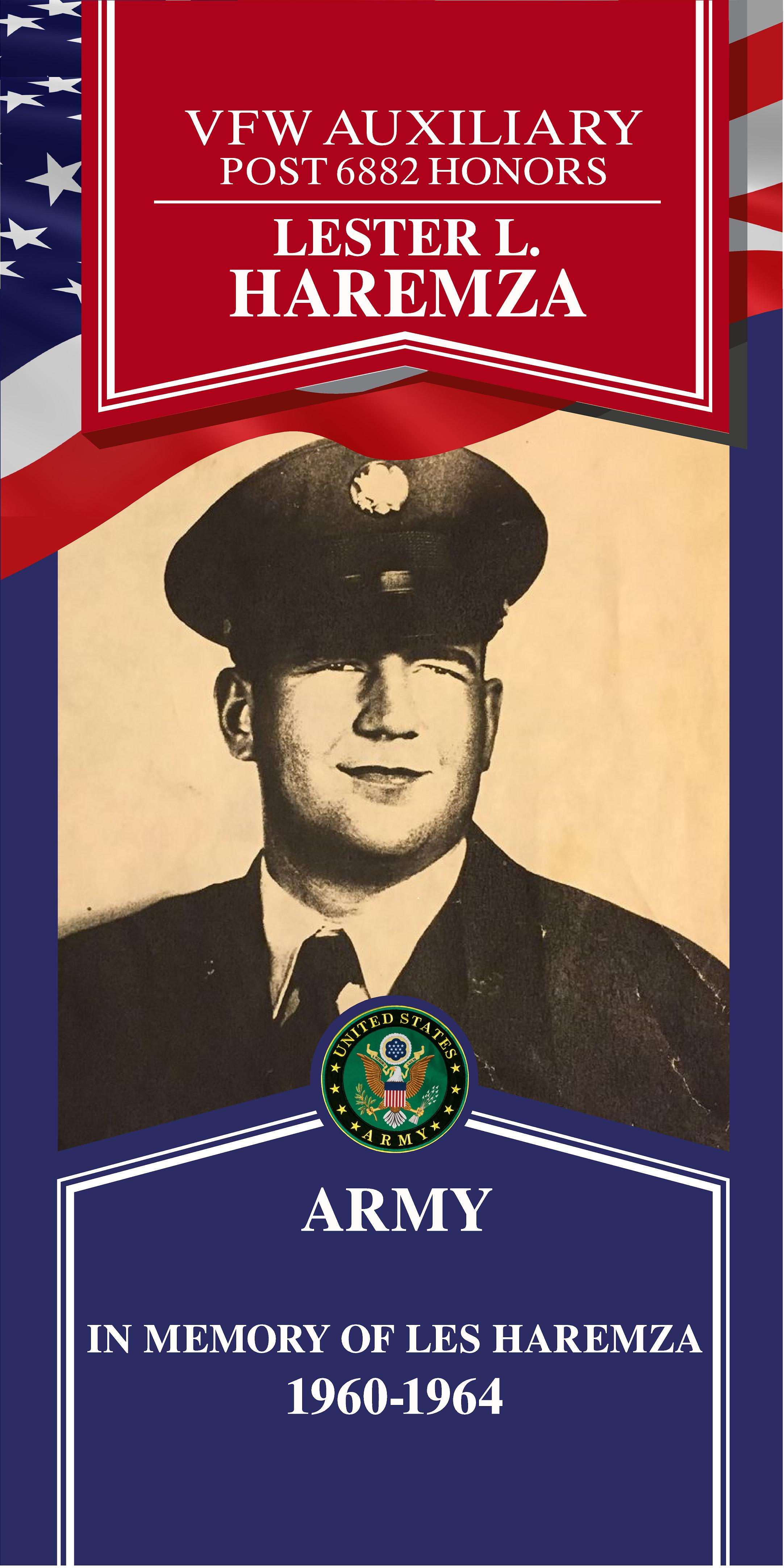 Local Heroes veteran tribute portrait