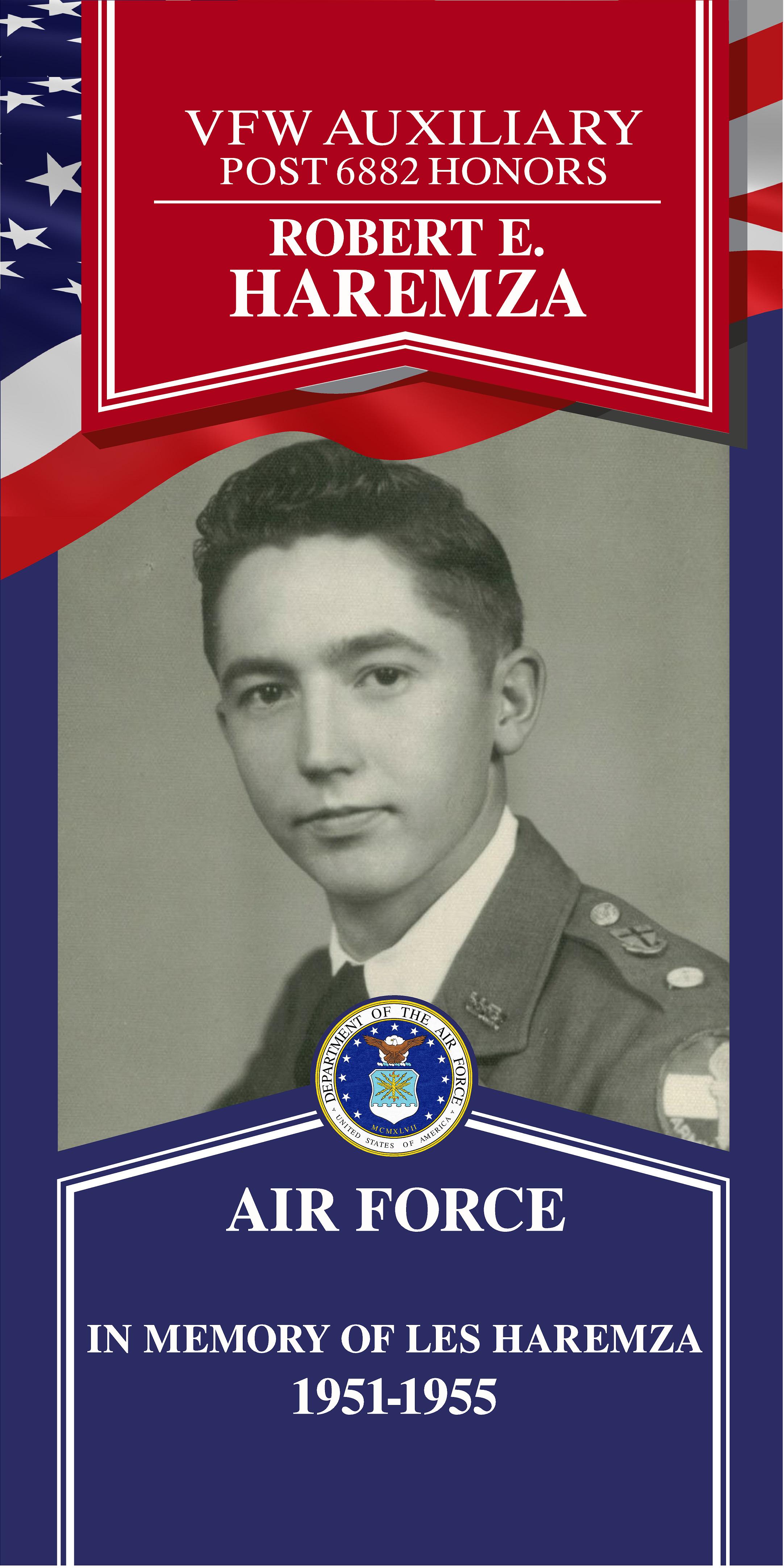 Local Heroes veteran tribute portrait
