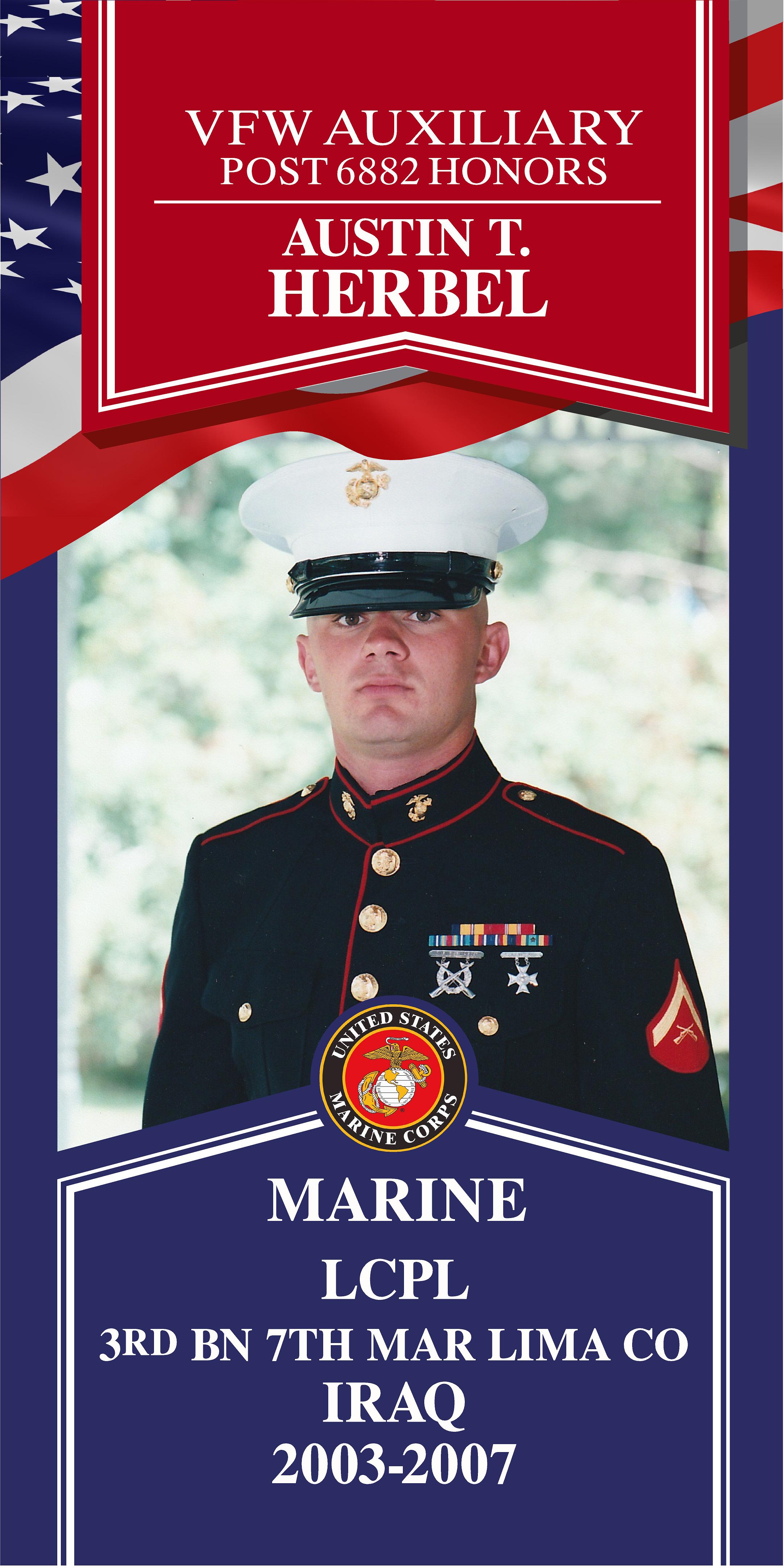 Local Heroes veteran tribute portrait