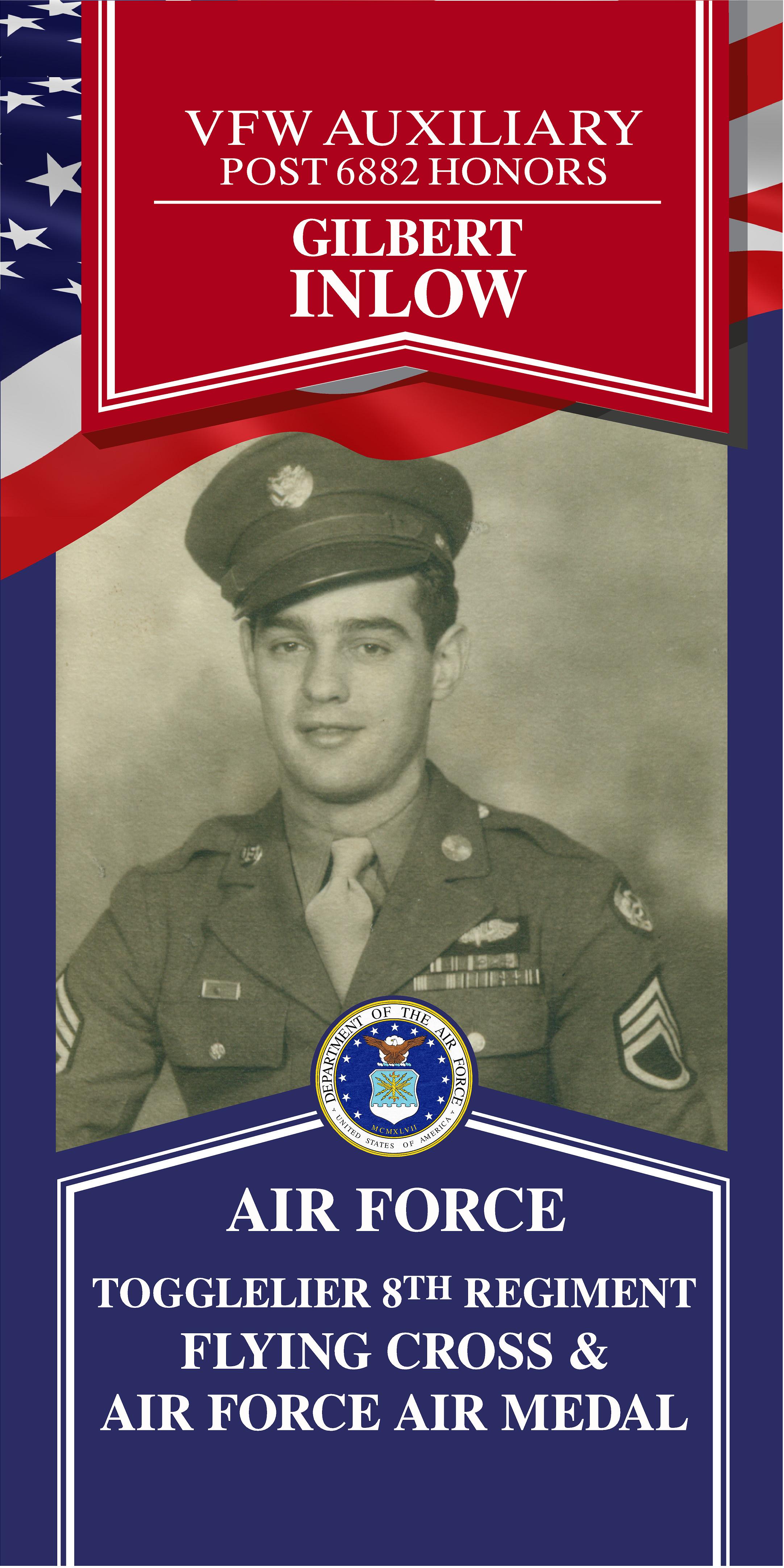 Local Heroes veteran tribute portrait
