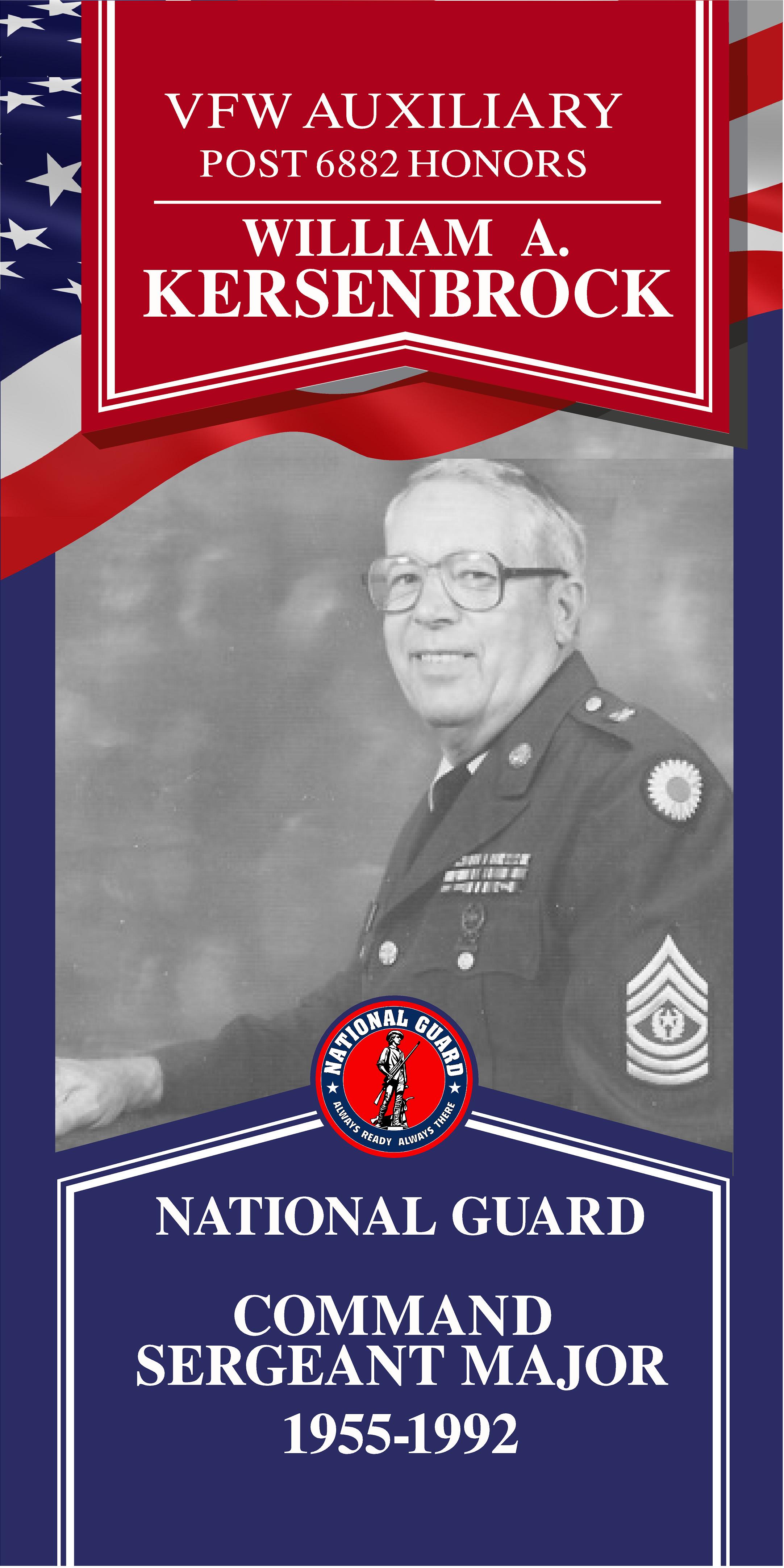 Local Heroes veteran tribute portrait
