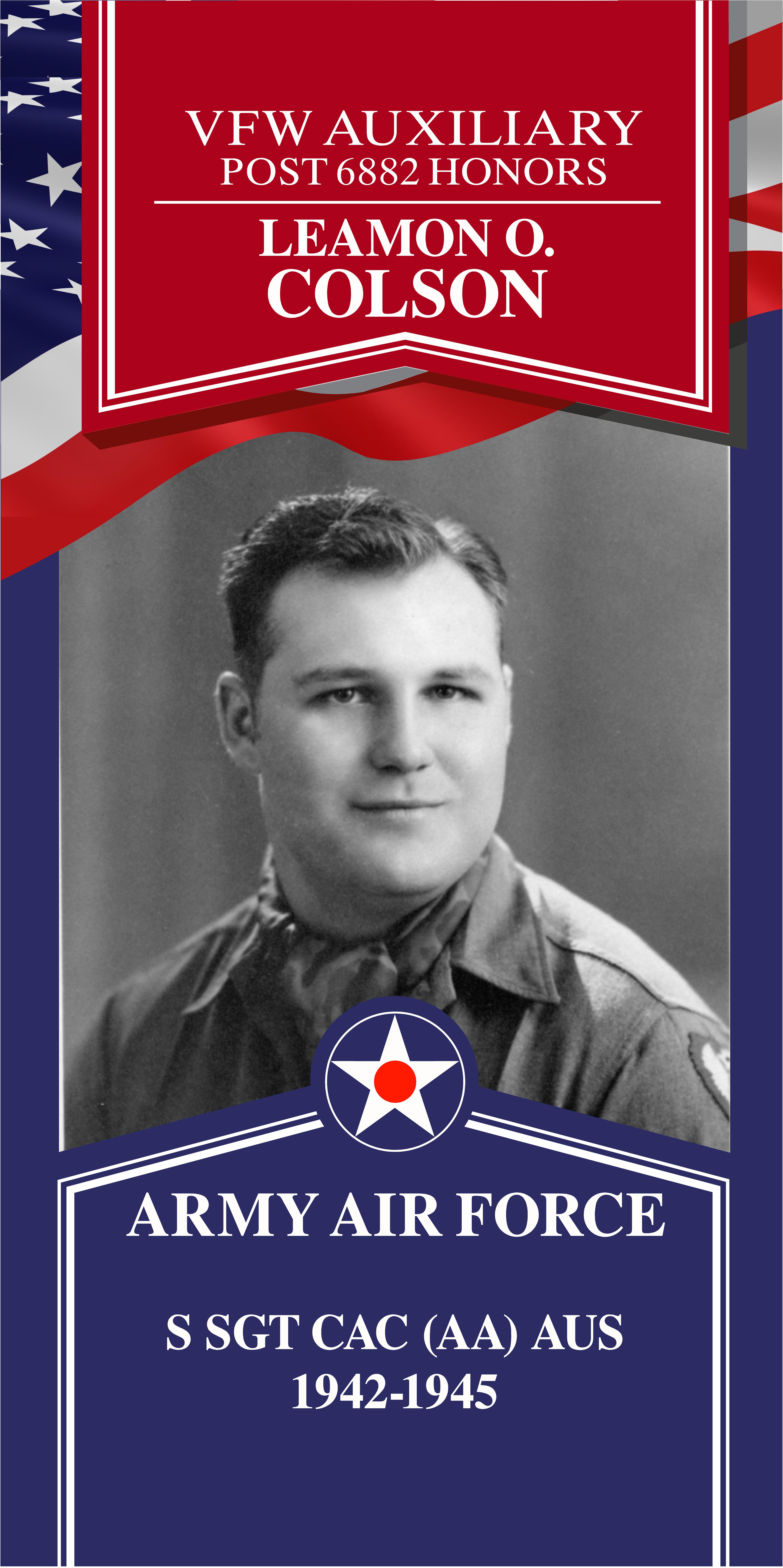 Local Heroes veteran tribute portrait