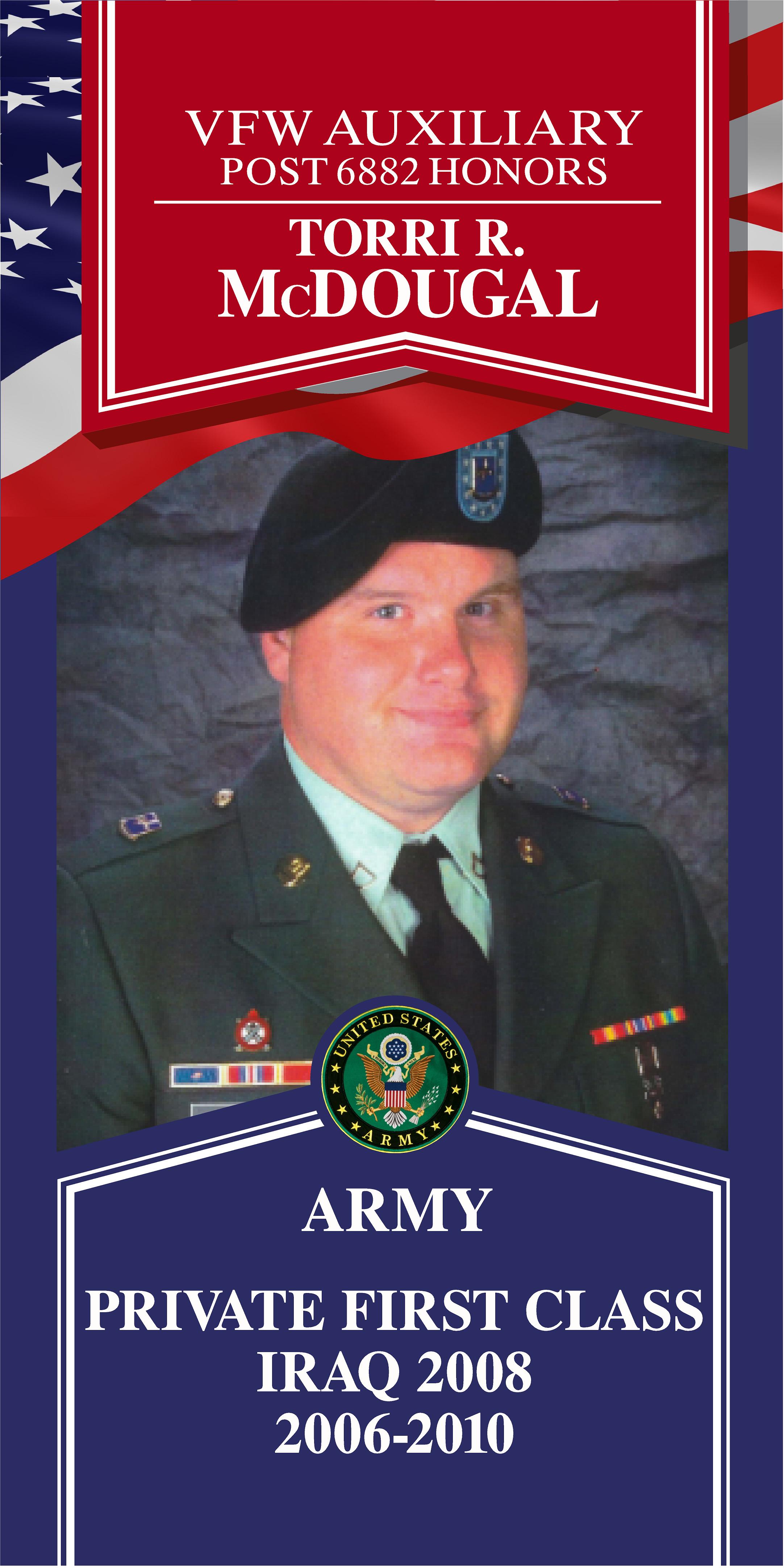 Local Heroes veteran tribute portrait