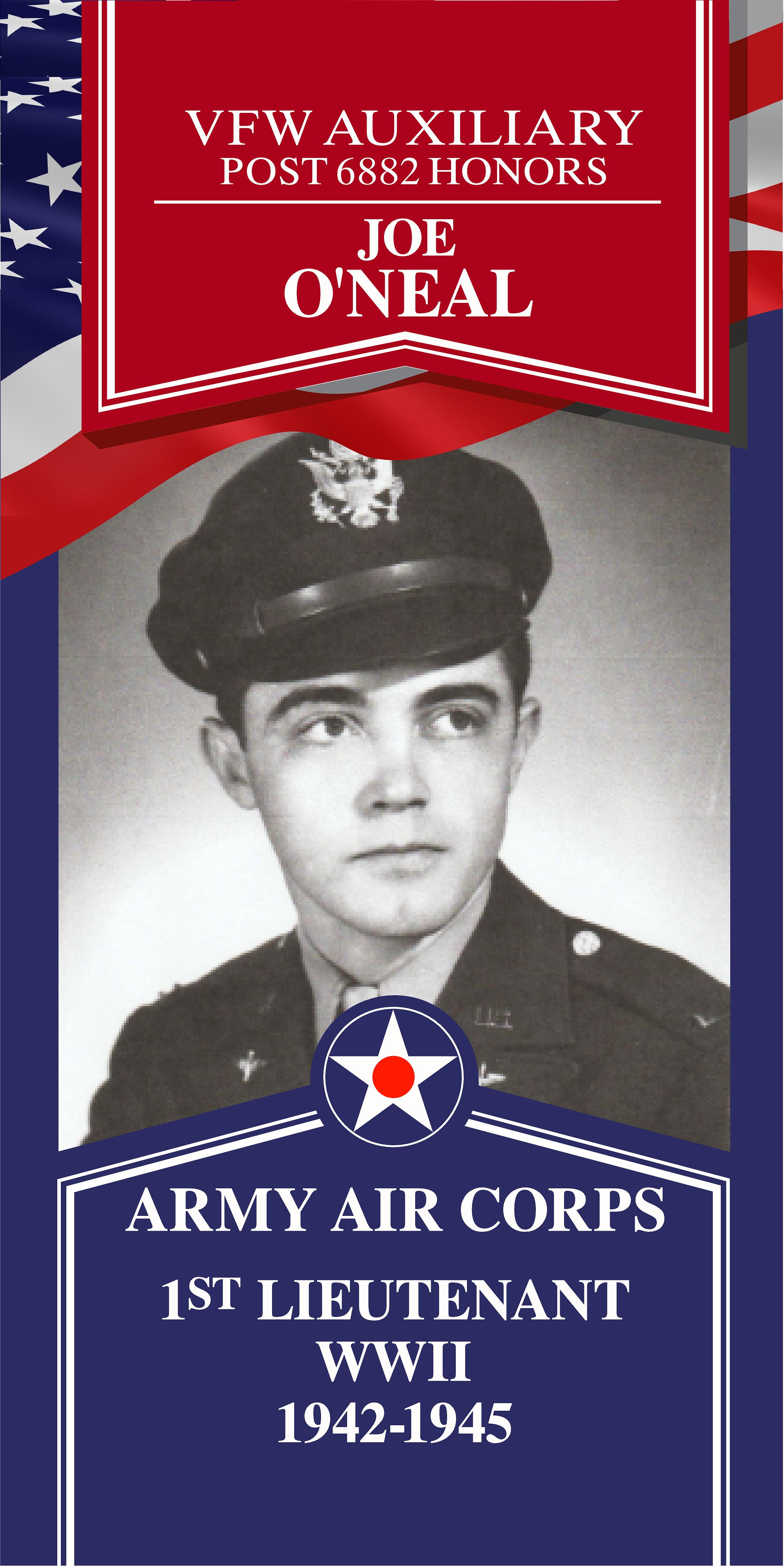 Local Heroes veteran tribute portrait