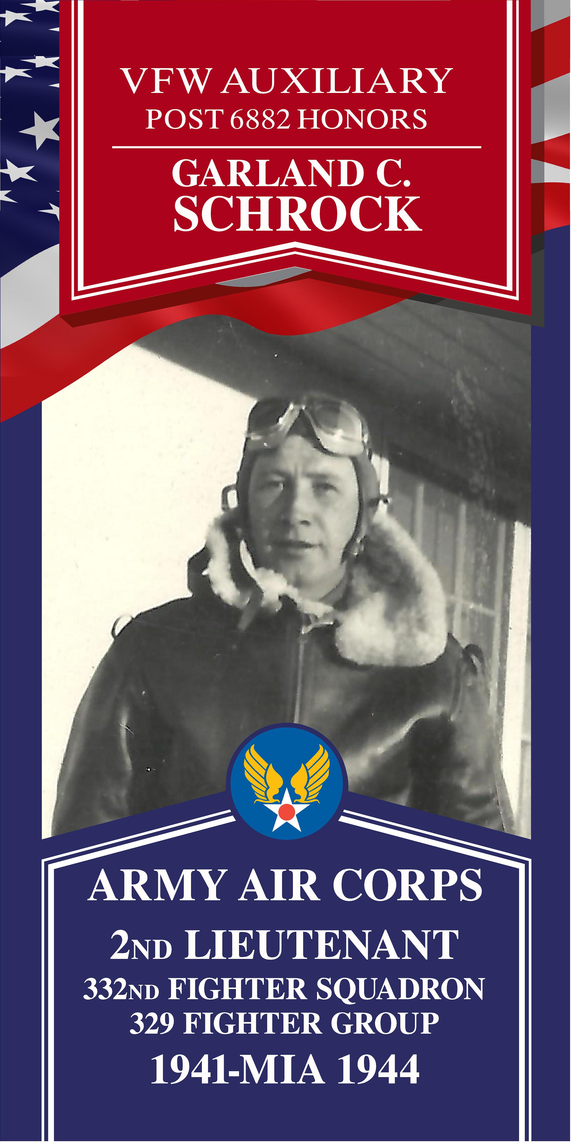 Local Heroes veteran tribute portrait