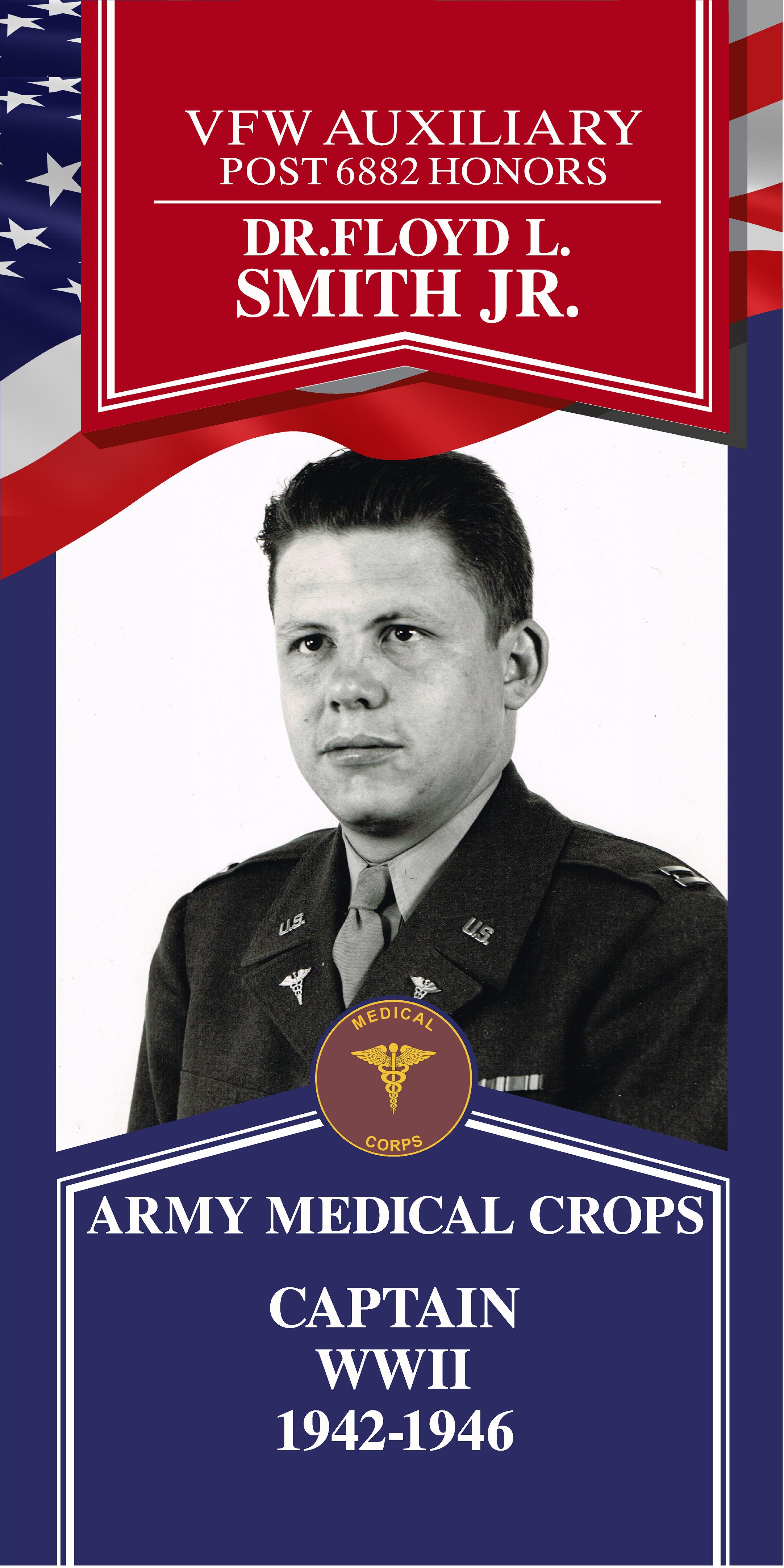 Local Heroes veteran tribute portrait
