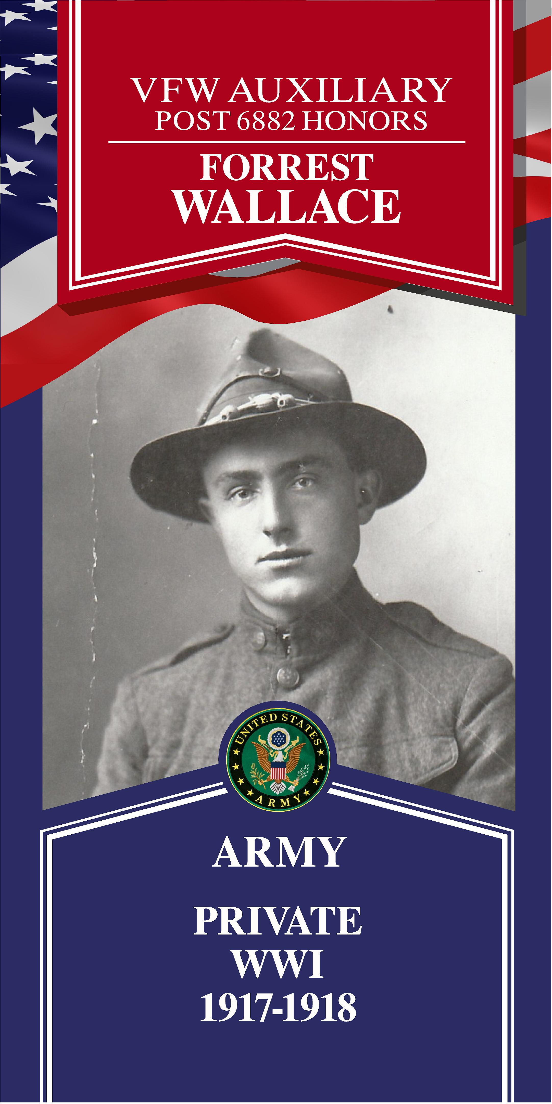 Local Heroes veteran tribute portrait