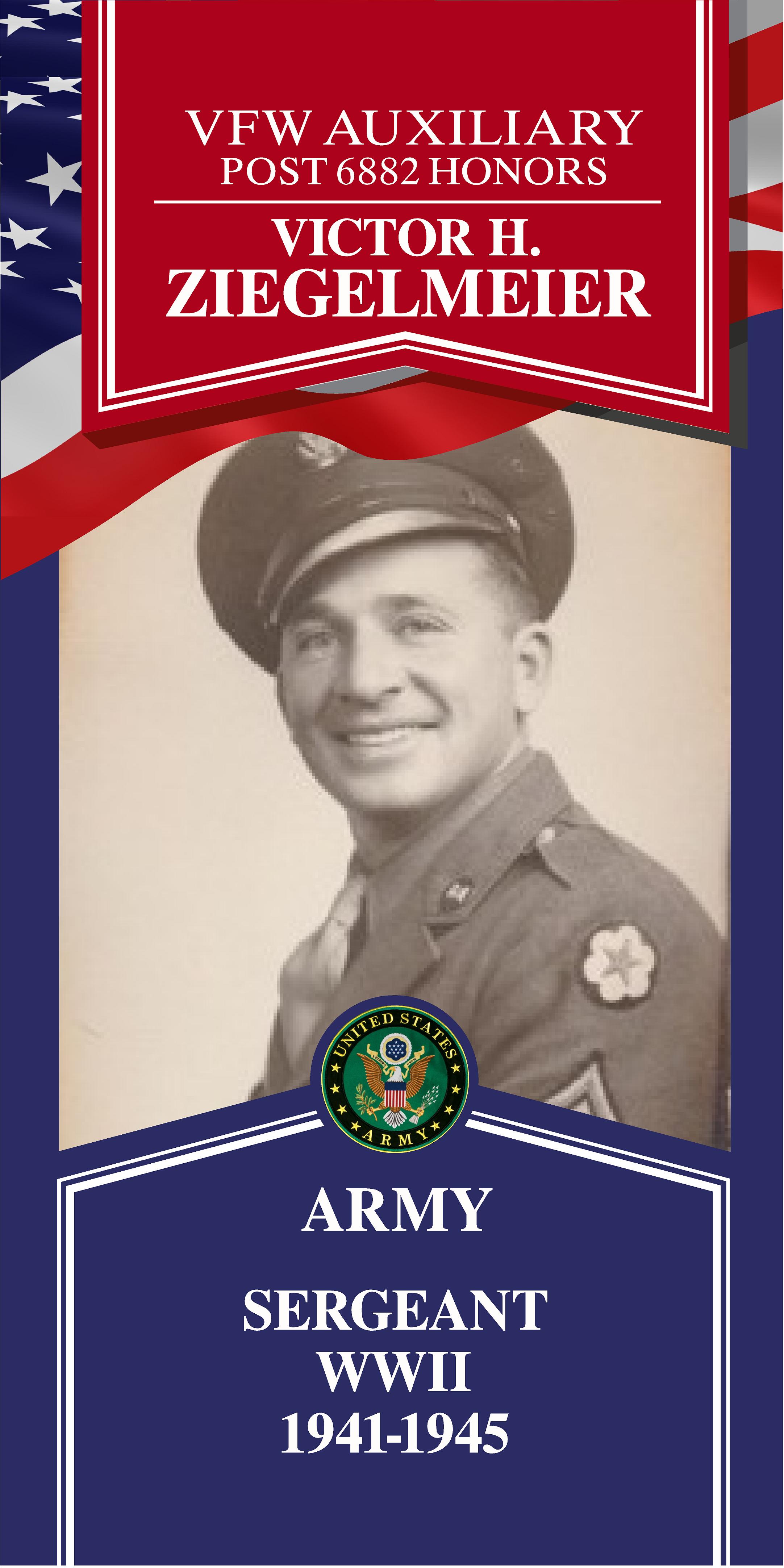 Local Heroes veteran tribute portrait