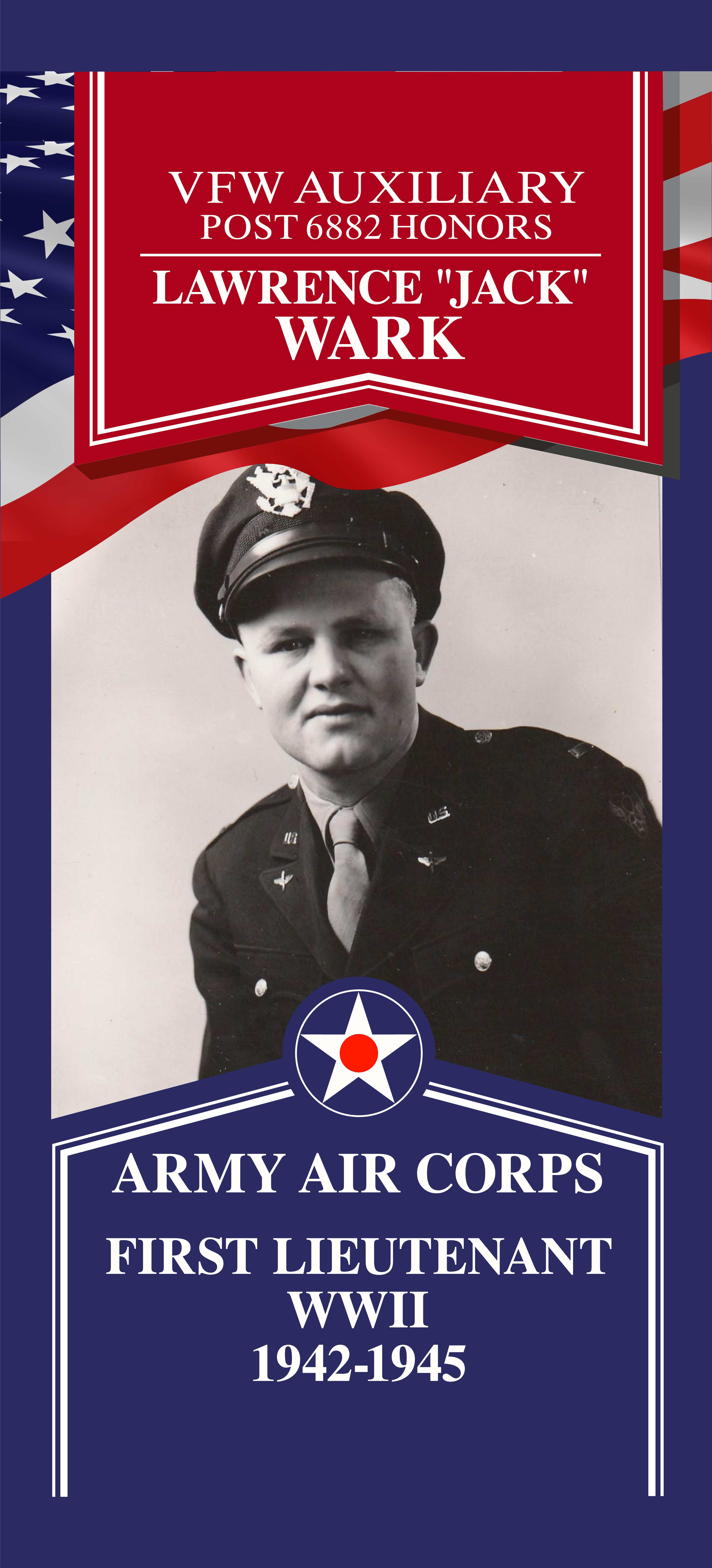 Local Heroes veteran tribute portrait