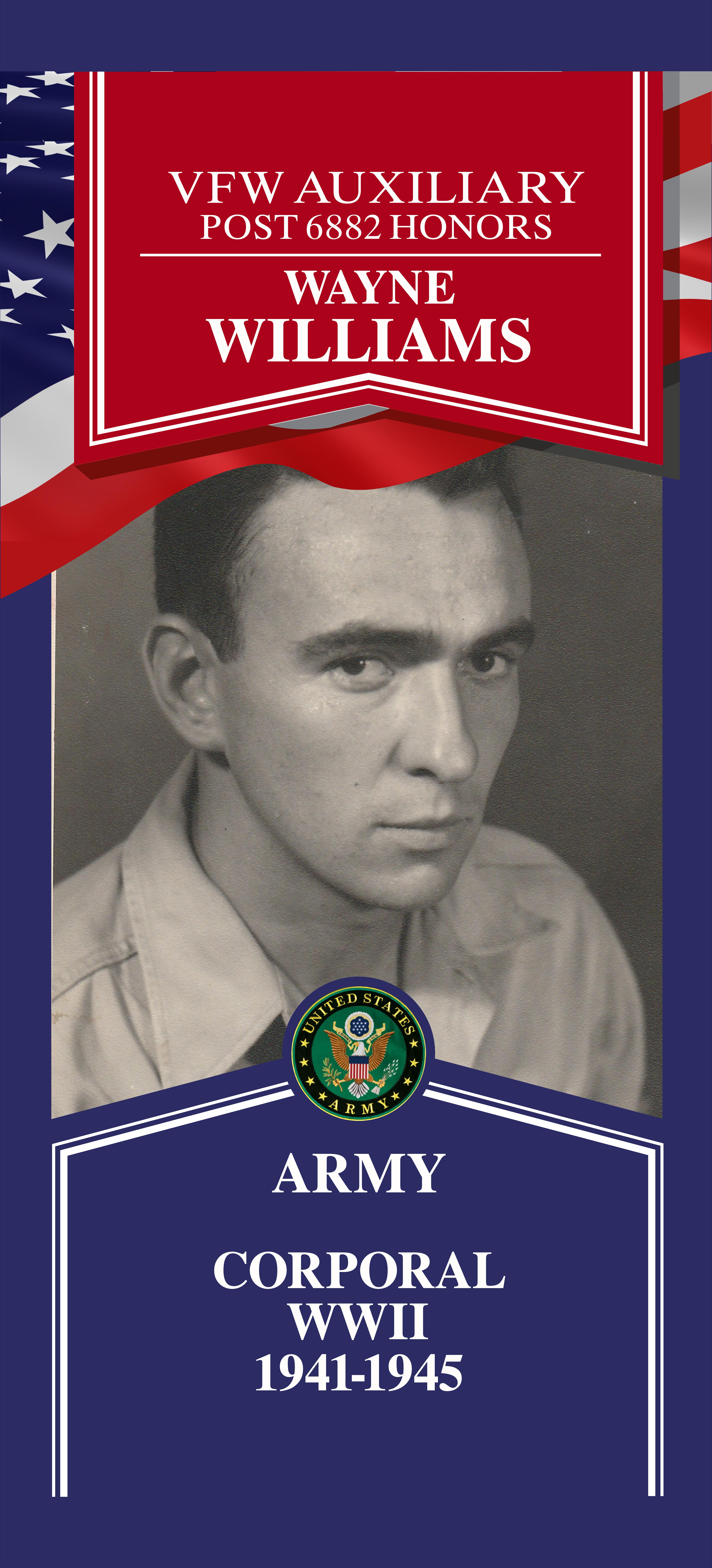 Local Heroes veteran tribute portrait
