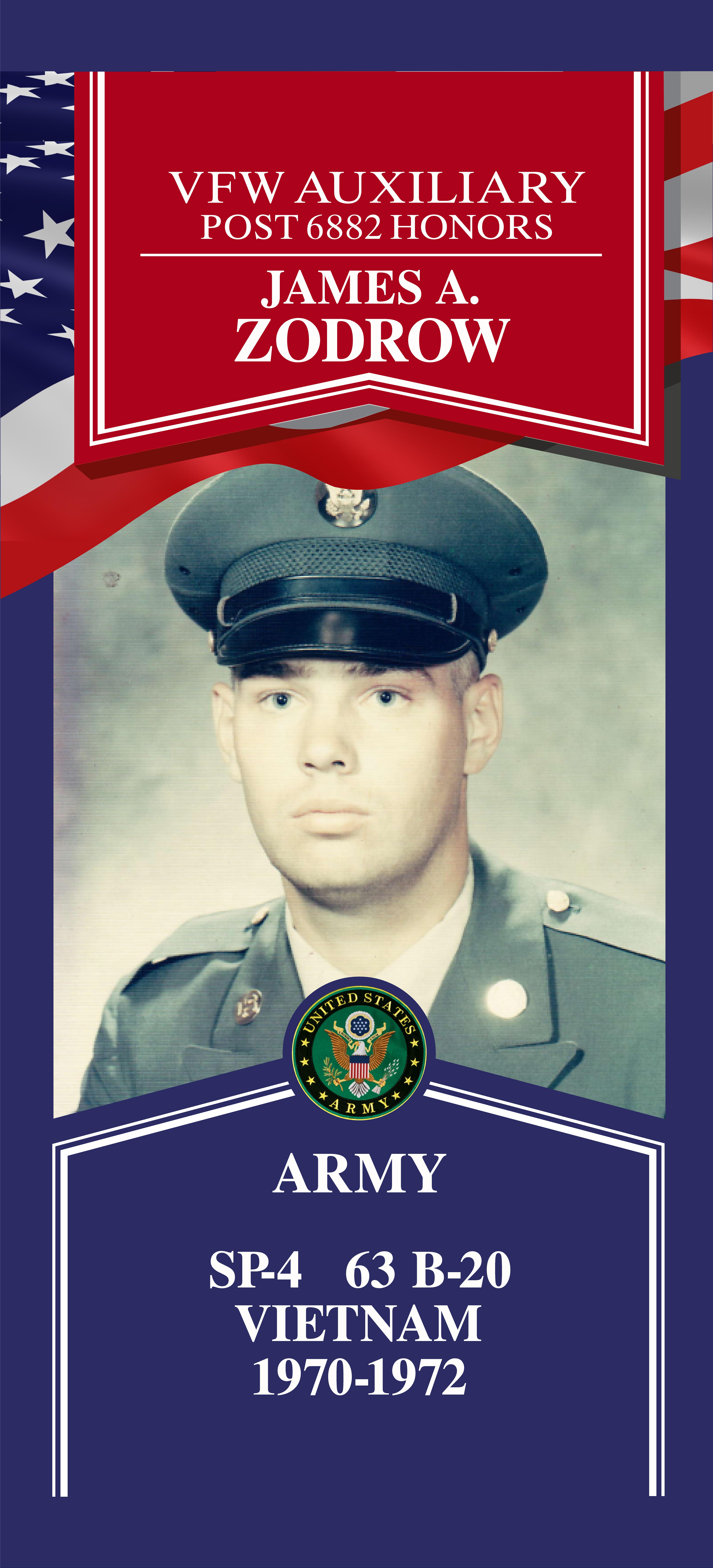 Local Heroes veteran tribute portrait