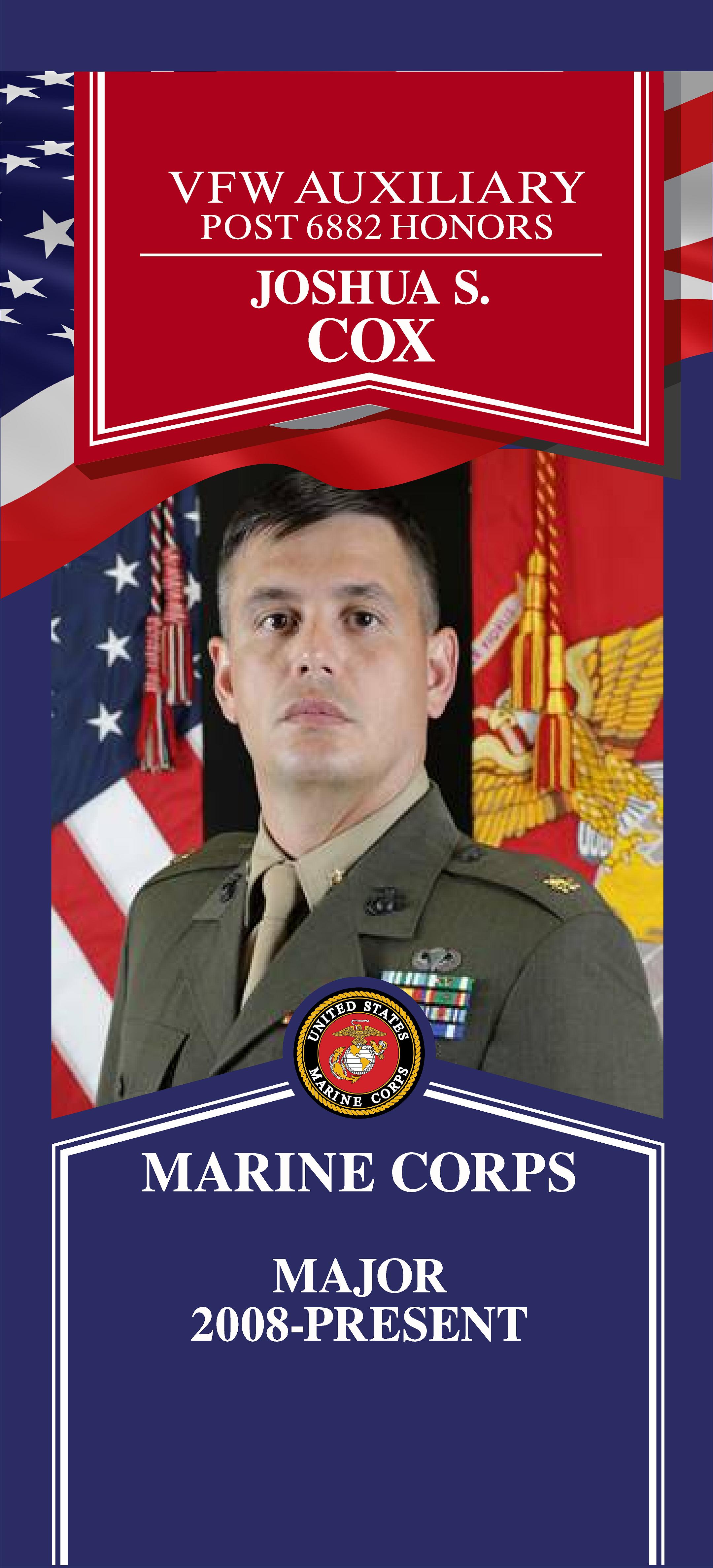Local Heroes veteran tribute portrait