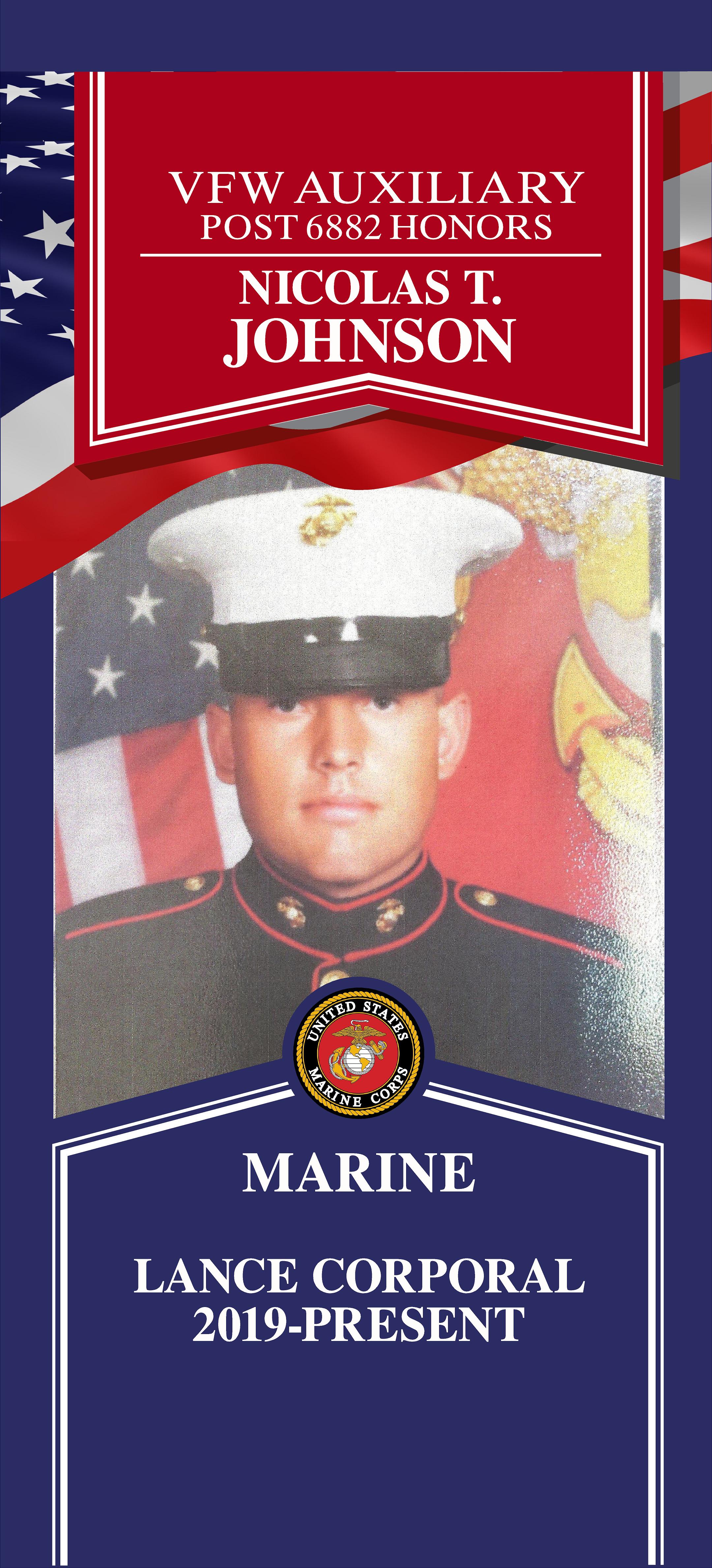 Local Heroes veteran tribute portrait