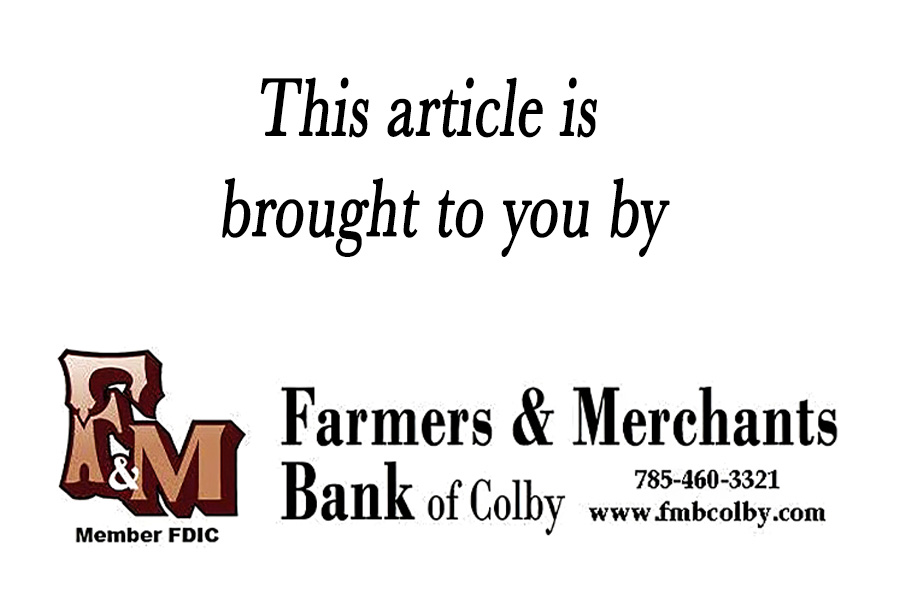 Sponsored content - Example Ad