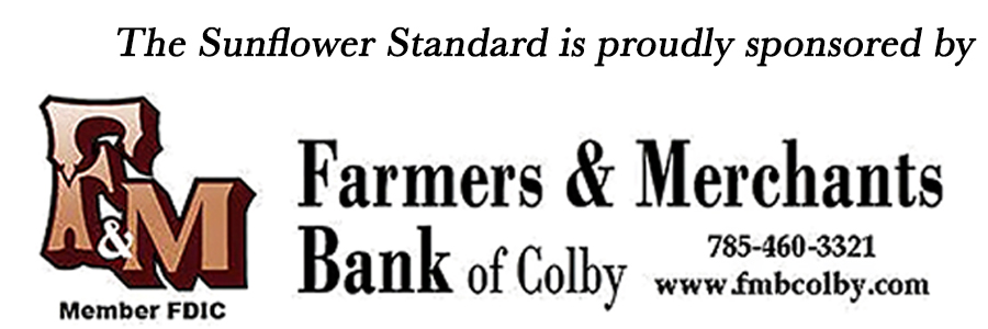 Sponsored content - Example Ad