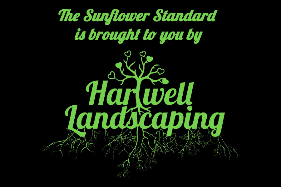 Sponsored content - Example Ad