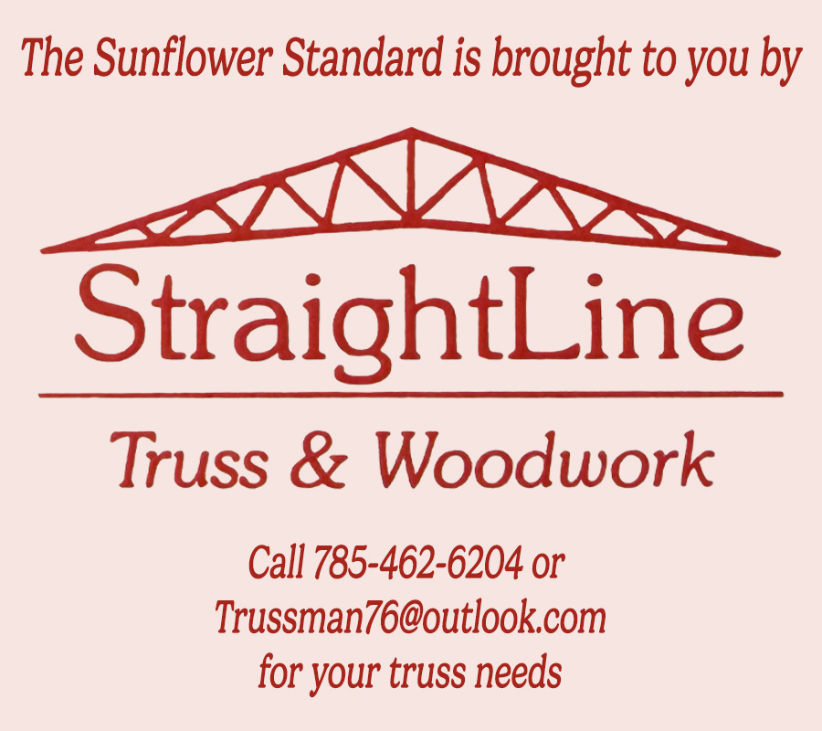 Sponsored content - Example Ad